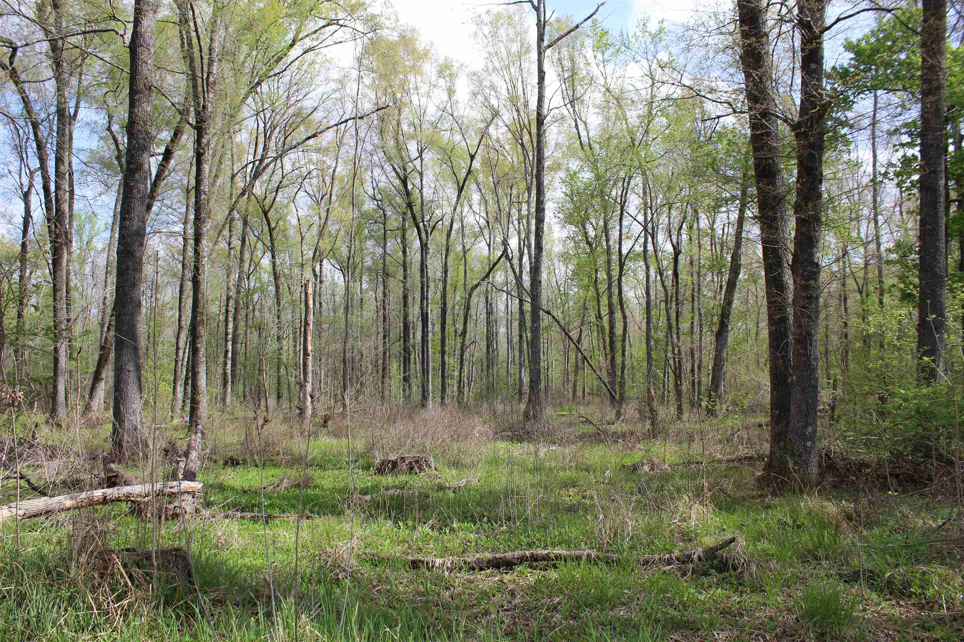 000 Estanaula Rd Property Photo 13