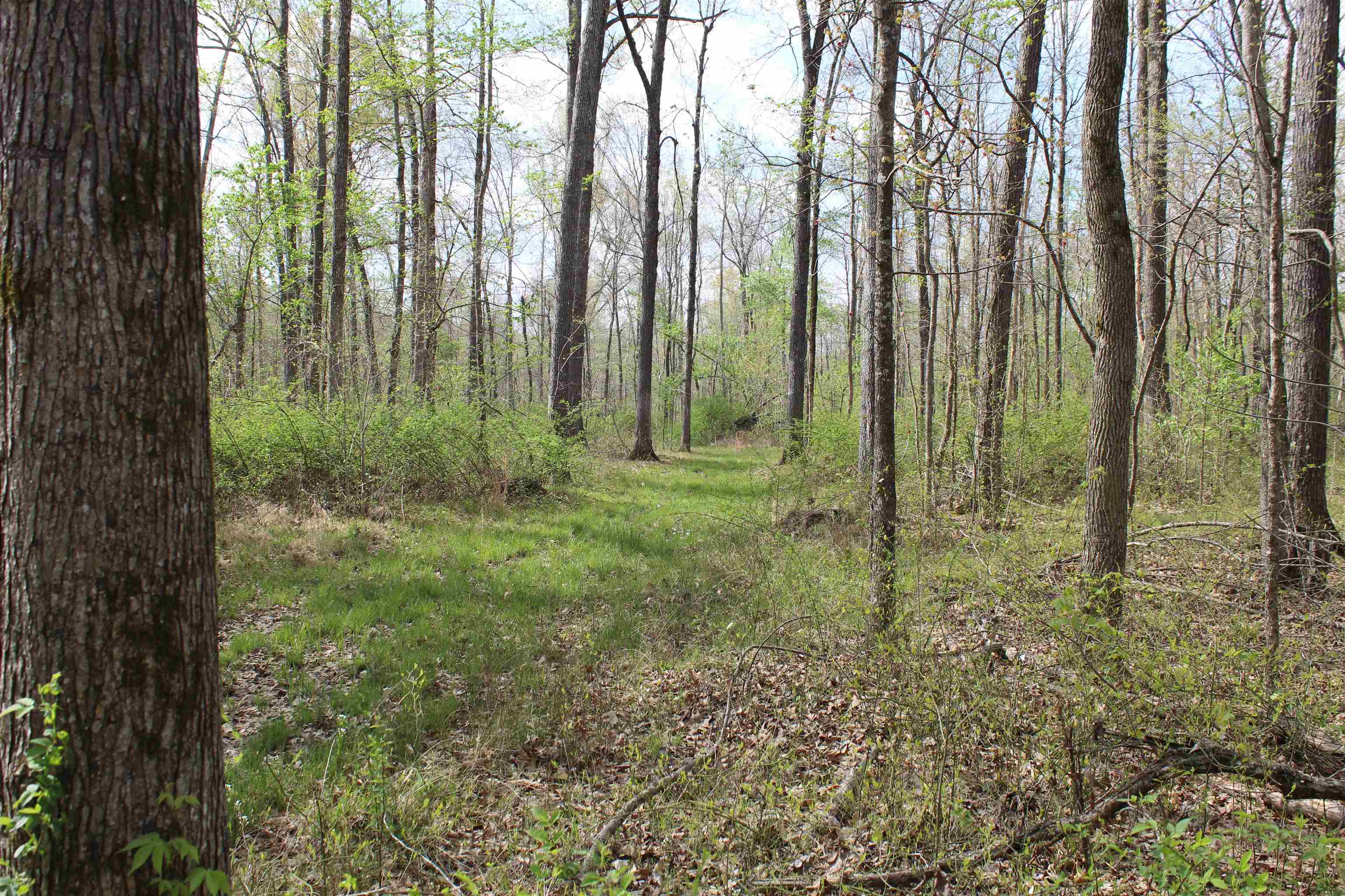 000 Estanaula Rd Property Photo 15