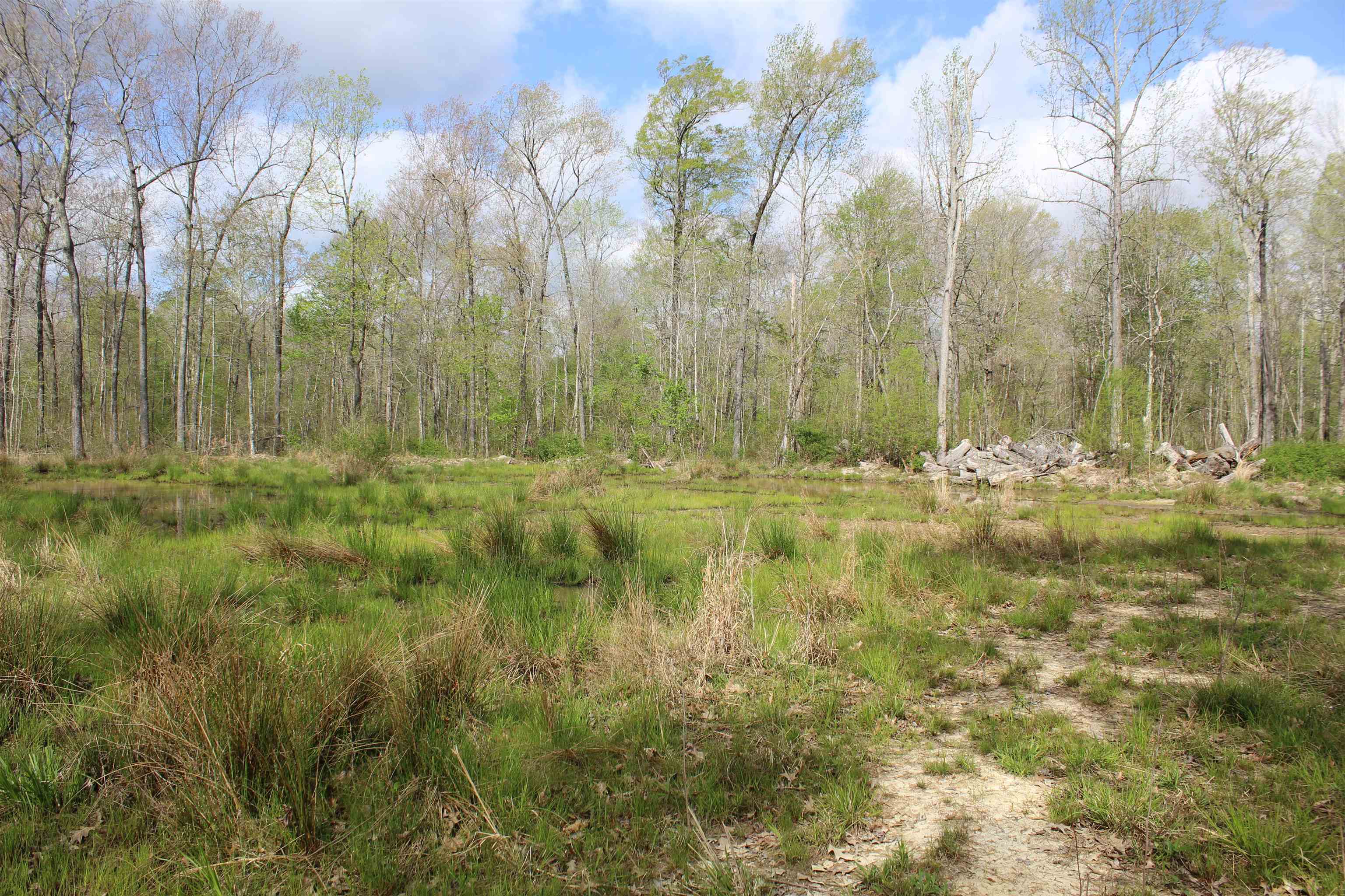 000 Estanaula Rd Property Photo 15