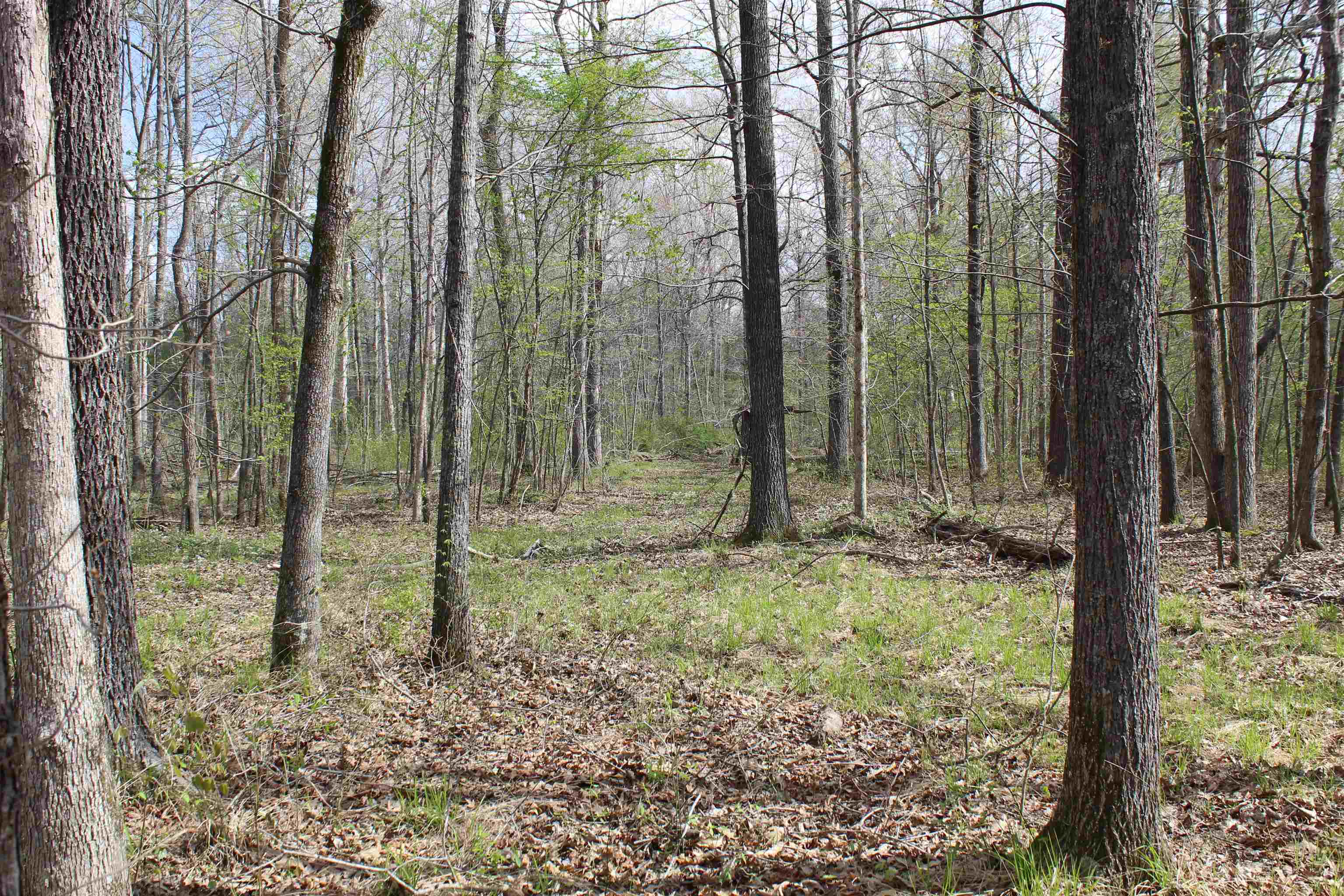 000 Estanaula Rd Property Photo 16