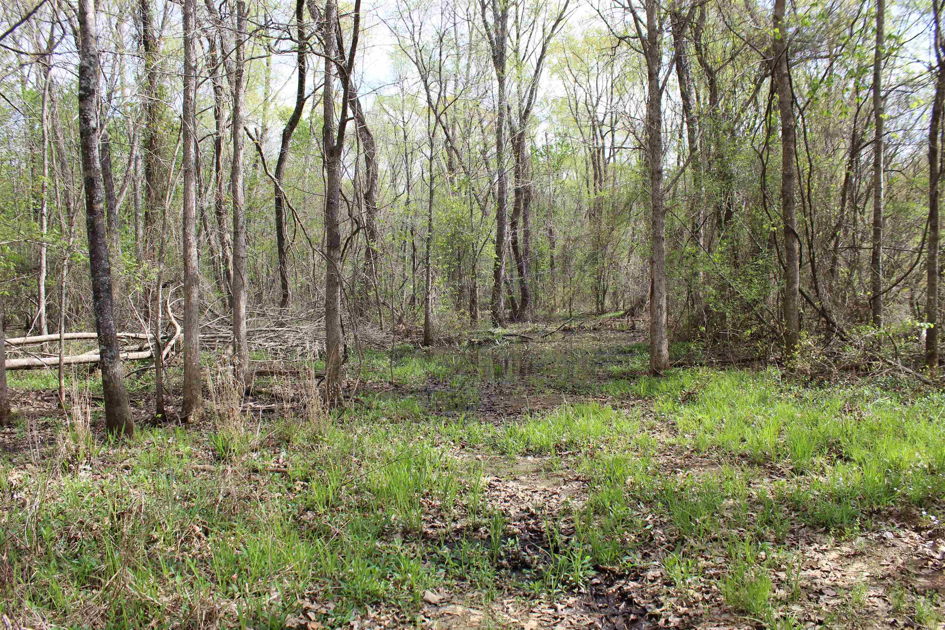 000 Estanaula Rd Property Photo 17