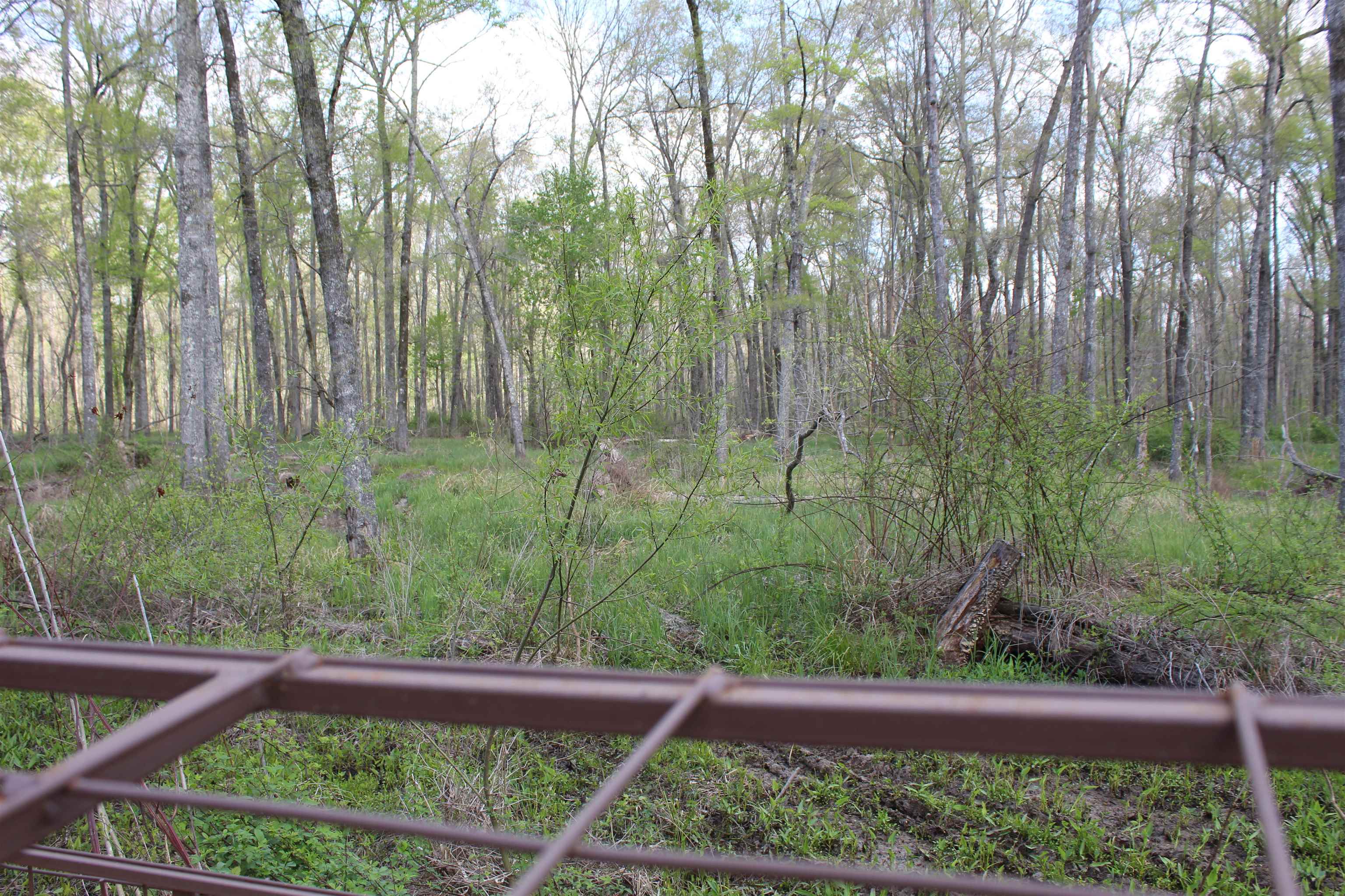 000 Estanaula Rd Property Photo 22