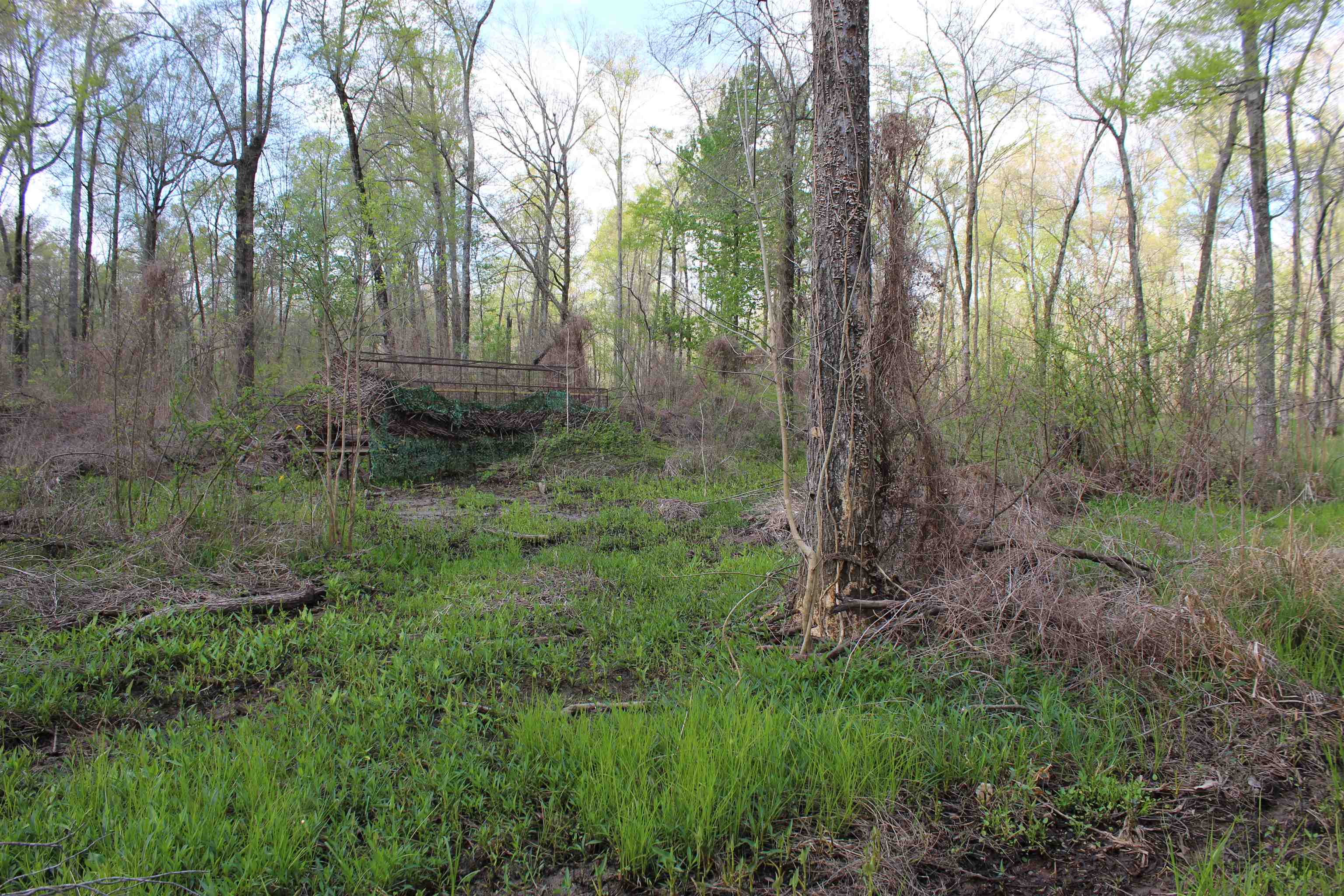 000 Estanaula Rd Property Photo 27