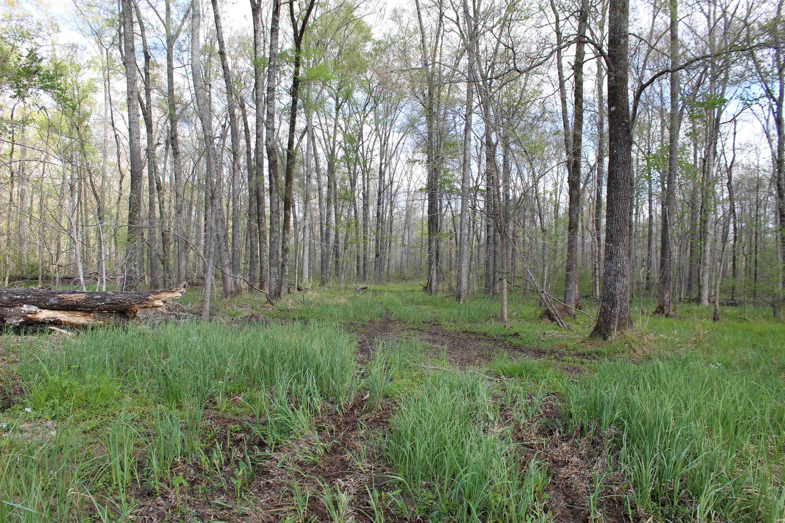 000 Estanaula Rd Property Photo 29