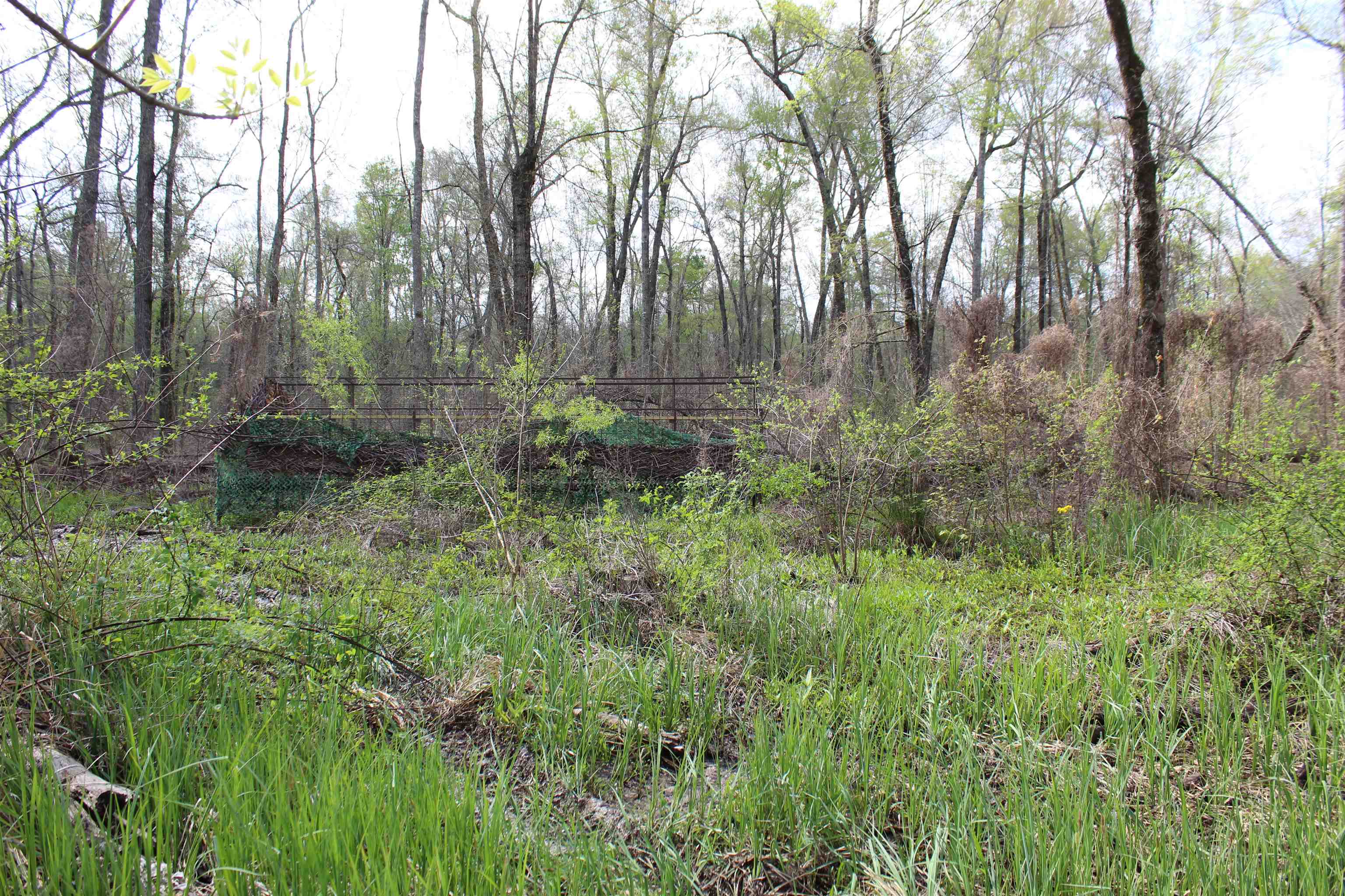 000 Estanaula Rd Property Photo 29