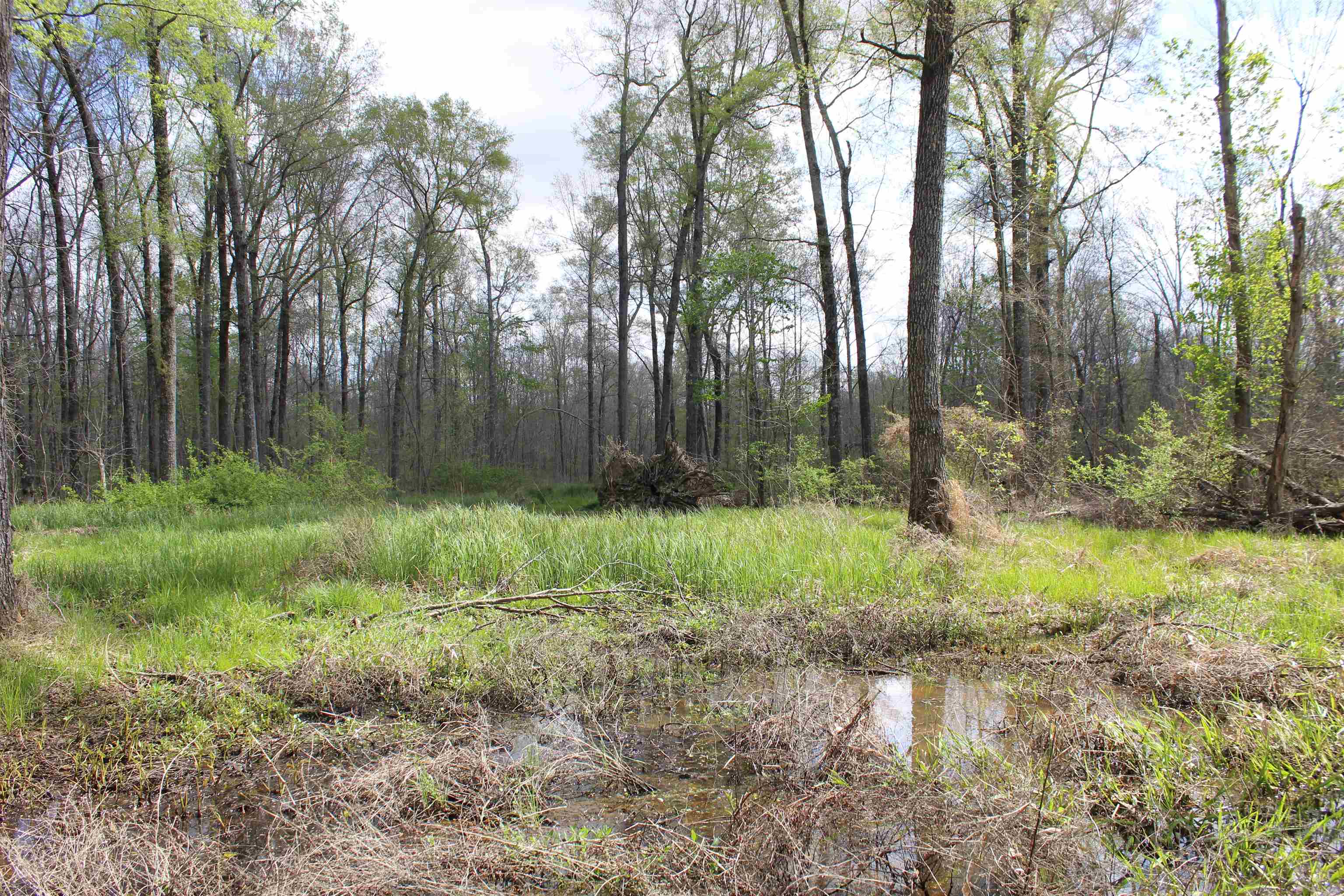 000 Estanaula Rd Property Photo 30