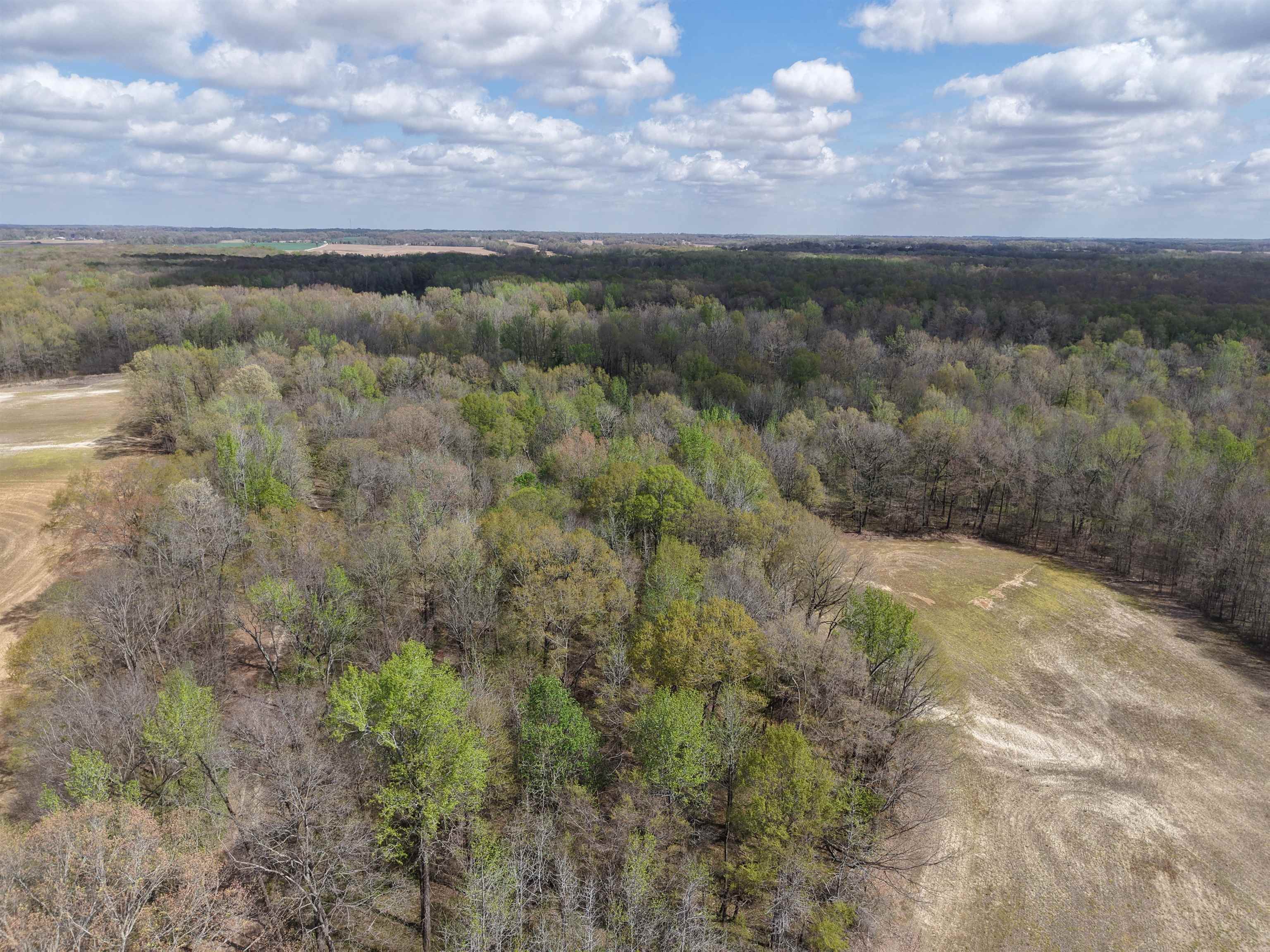 000 Estanaula Rd Property Photo 32