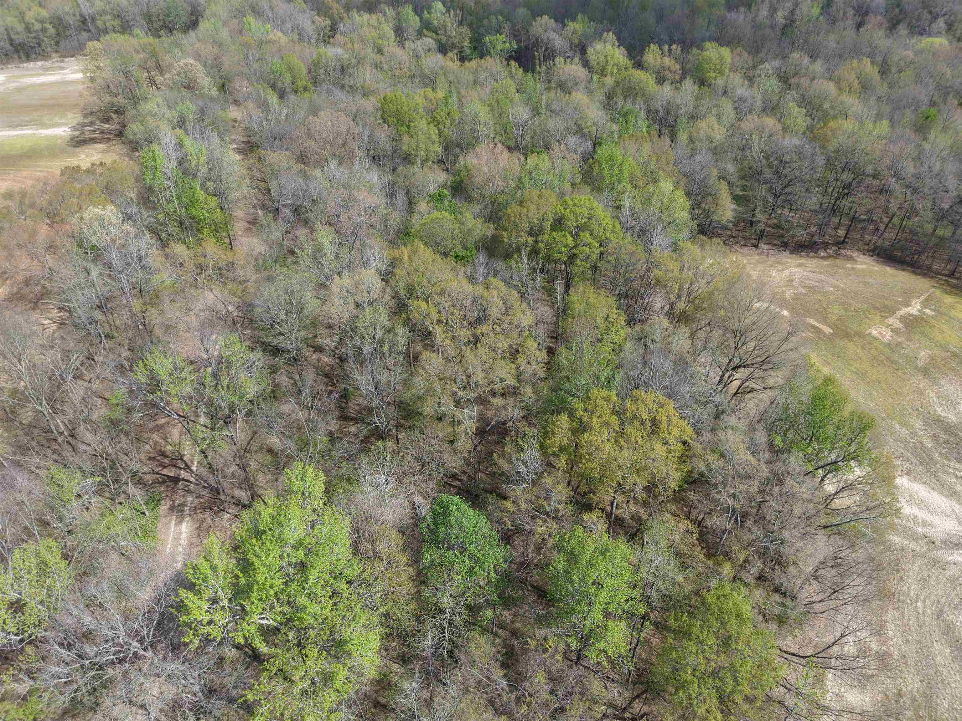 000 Estanaula Rd Property Photo 33