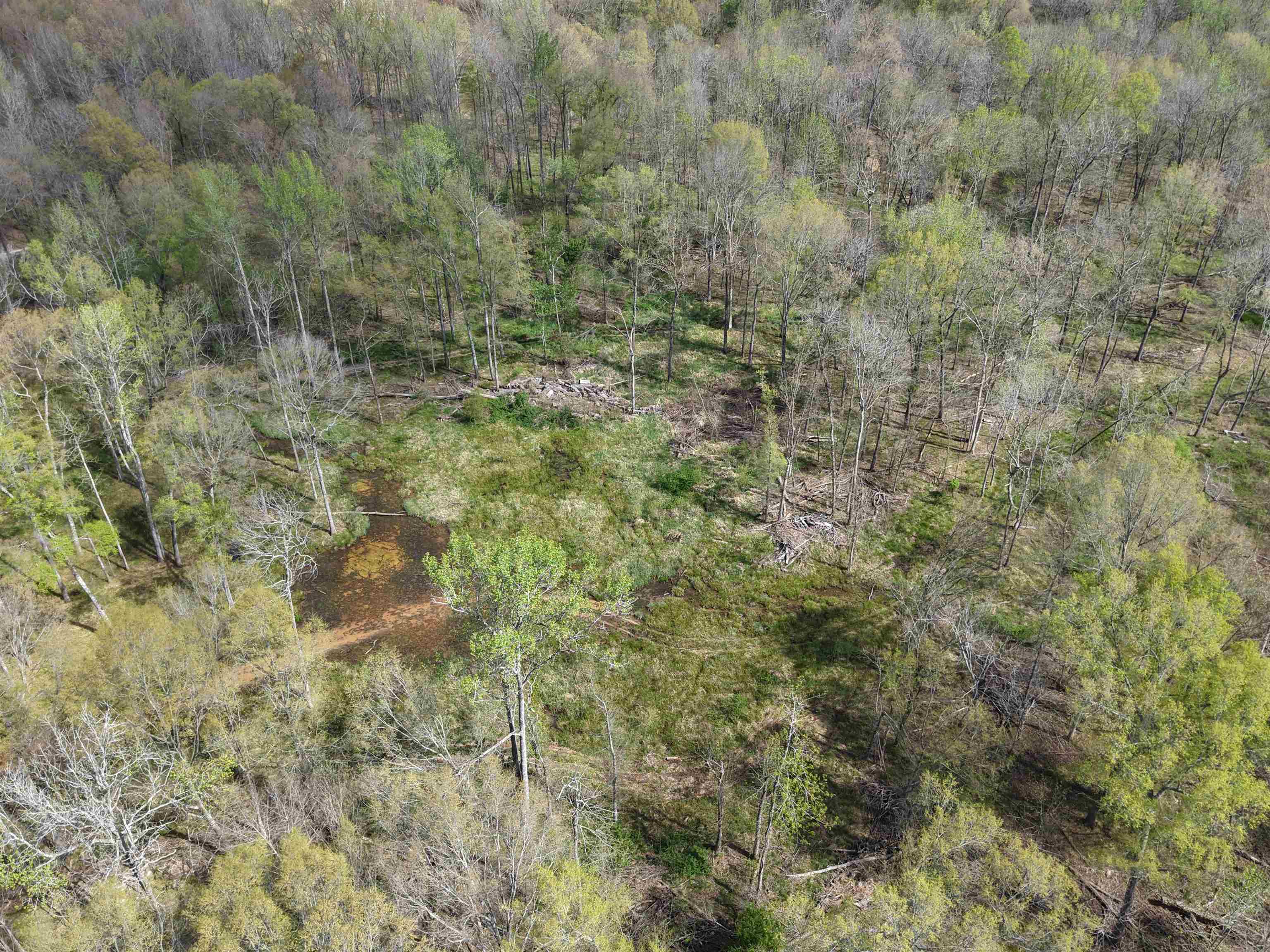 000 Estanaula Rd Property Photo 34