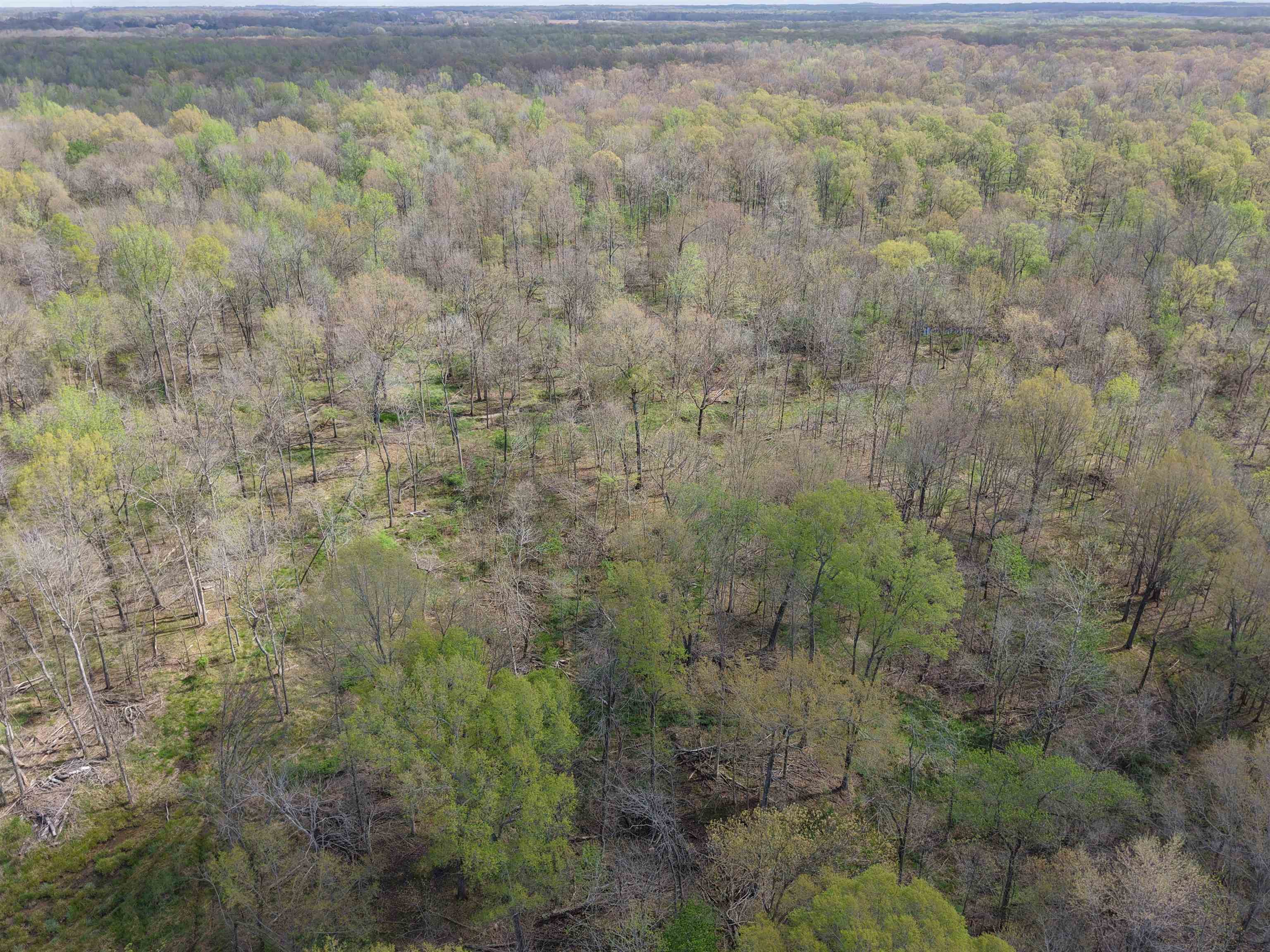 000 Estanaula Rd Property Photo 35
