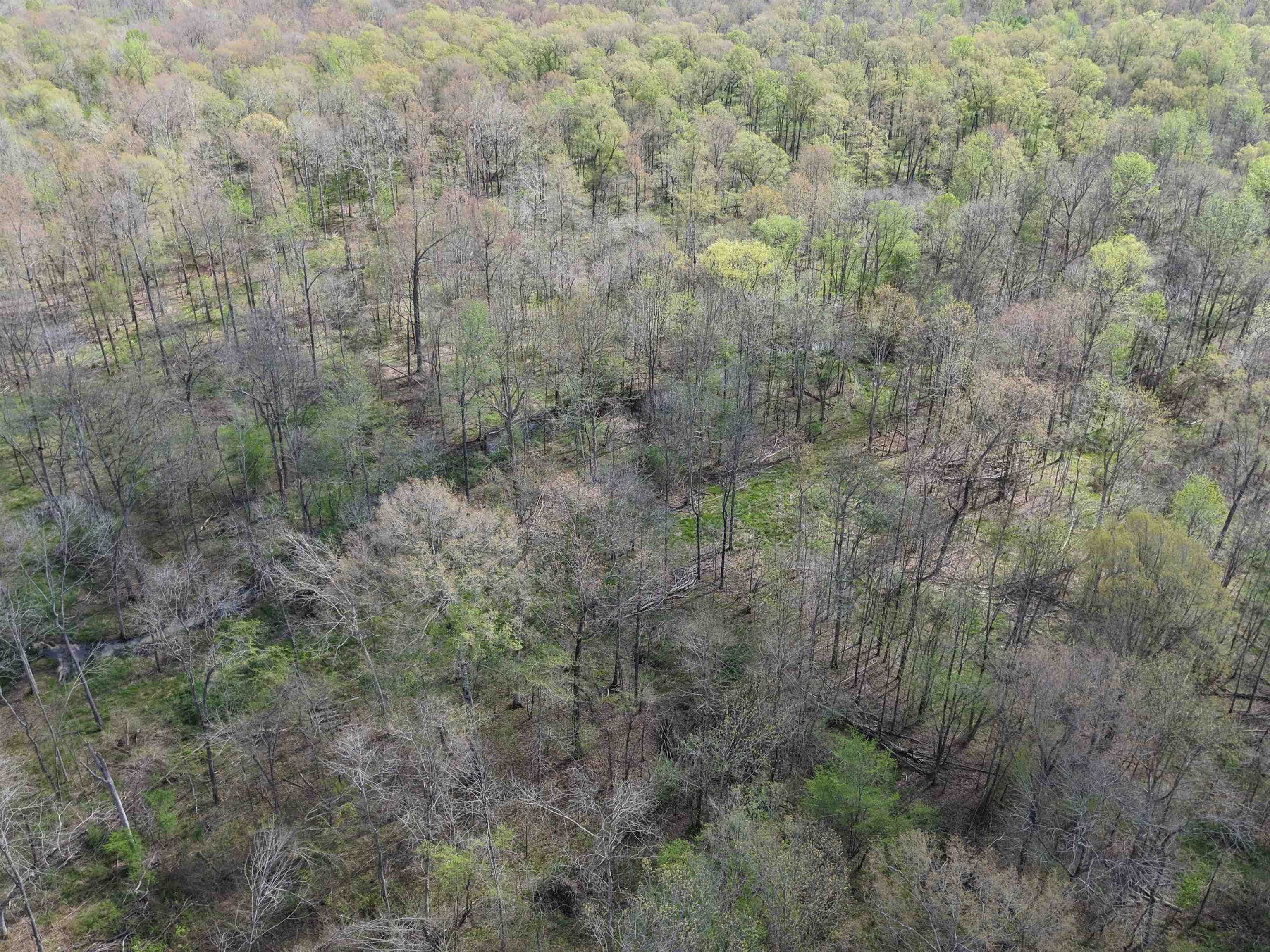 000 Estanaula Rd Property Photo 36
