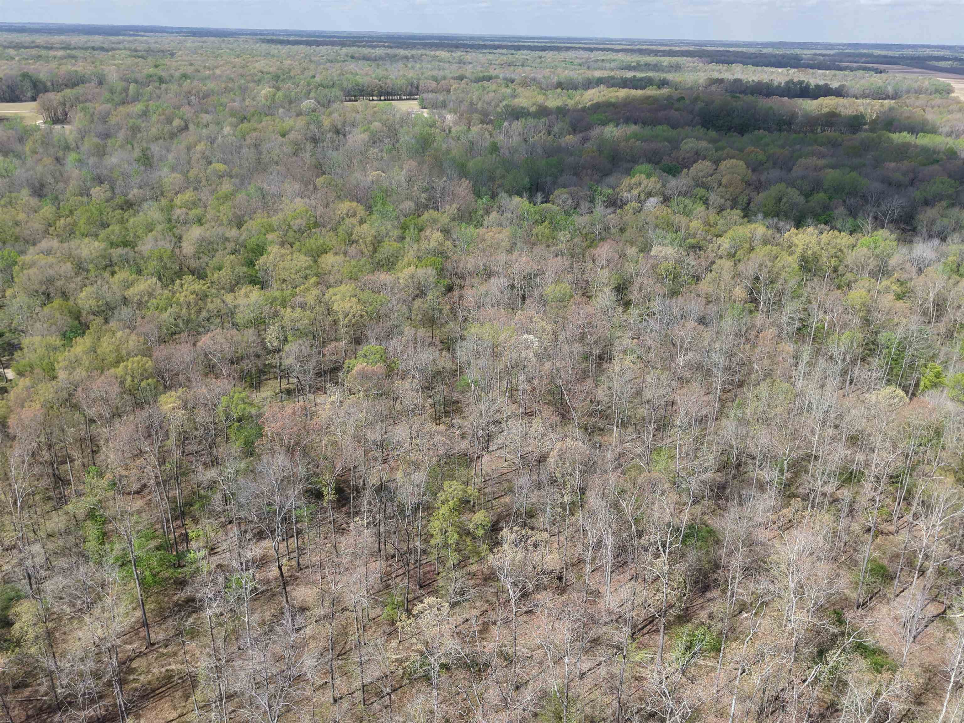 000 Estanaula Rd Property Photo 37