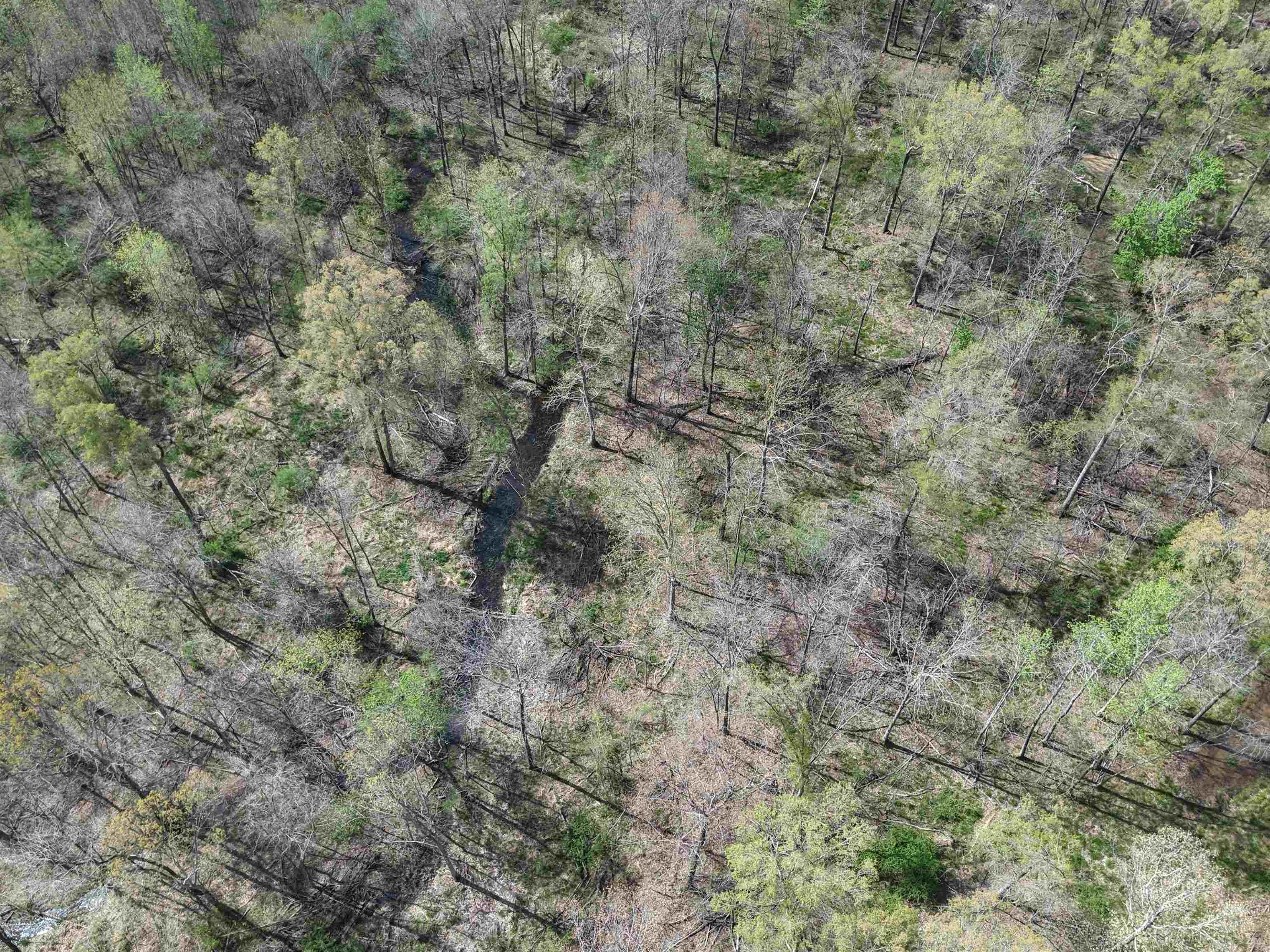 000 Estanaula Rd Property Photo 39
