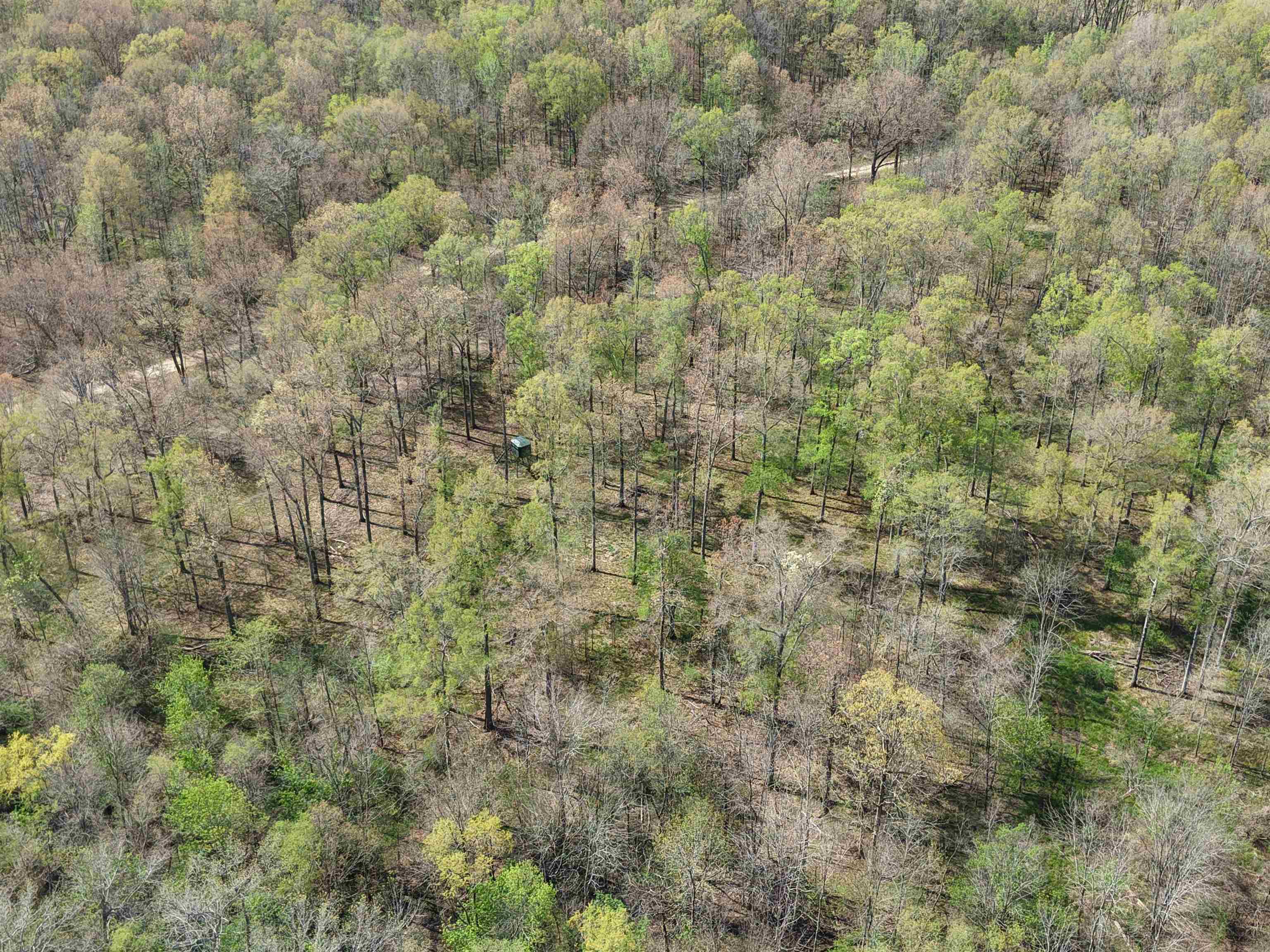 000 Estanaula Rd Property Photo 40