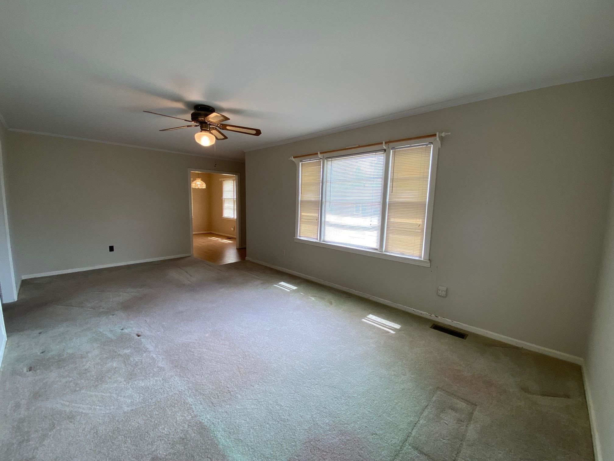 35 Robertson St Property Photo 8