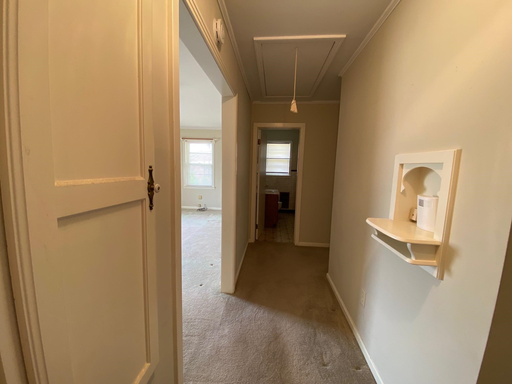 35 Robertson St Property Photo 11