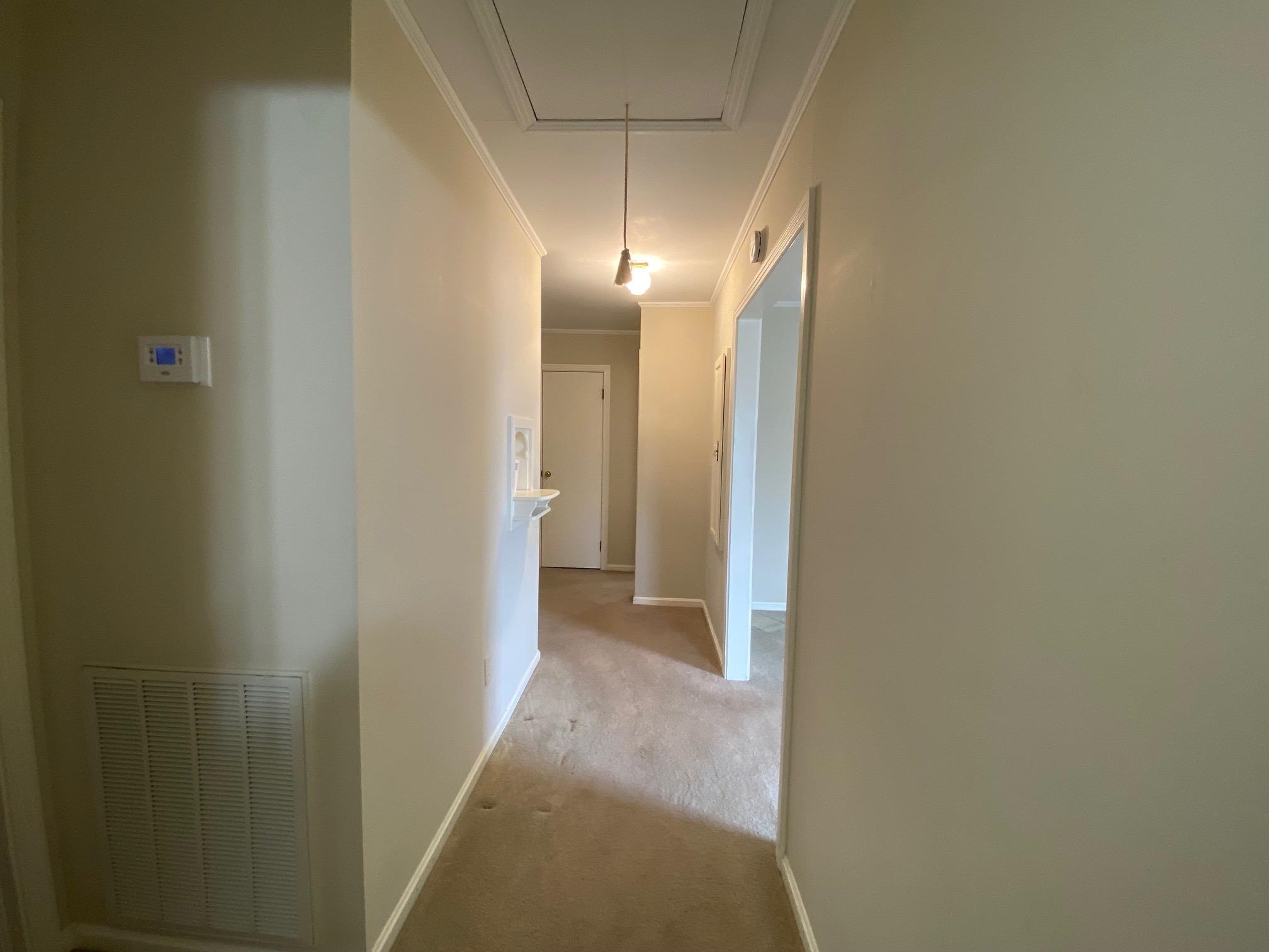 35 Robertson St Property Photo 12