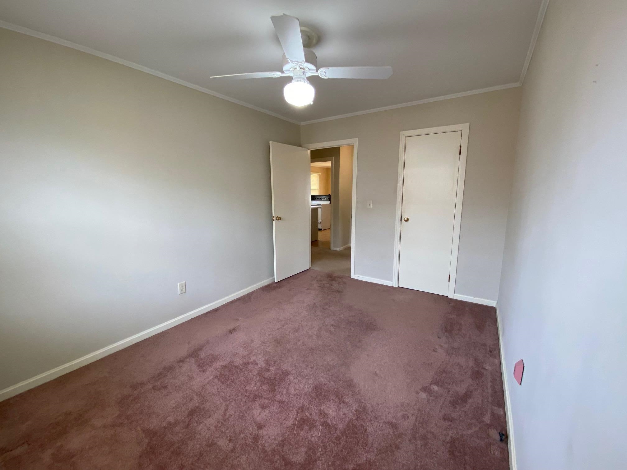 35 Robertson St Property Photo 18