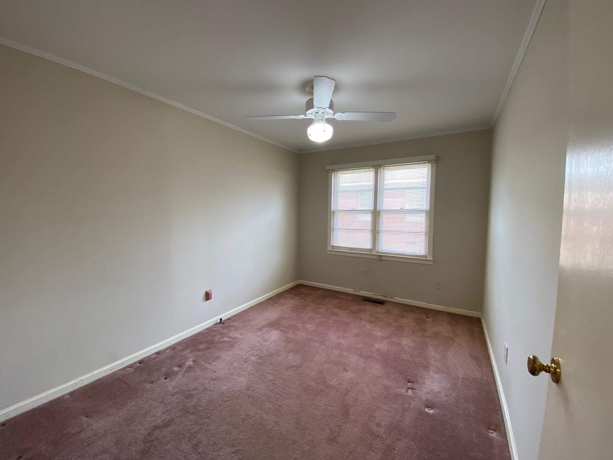 35 Robertson St Property Photo 19
