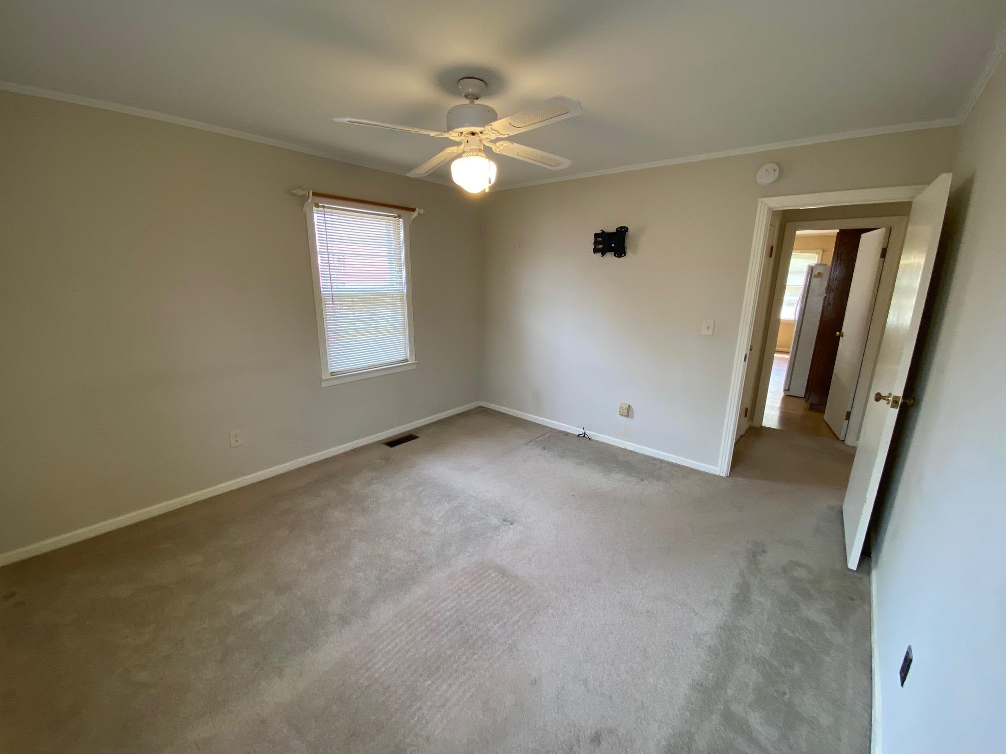 35 Robertson St Property Photo 20