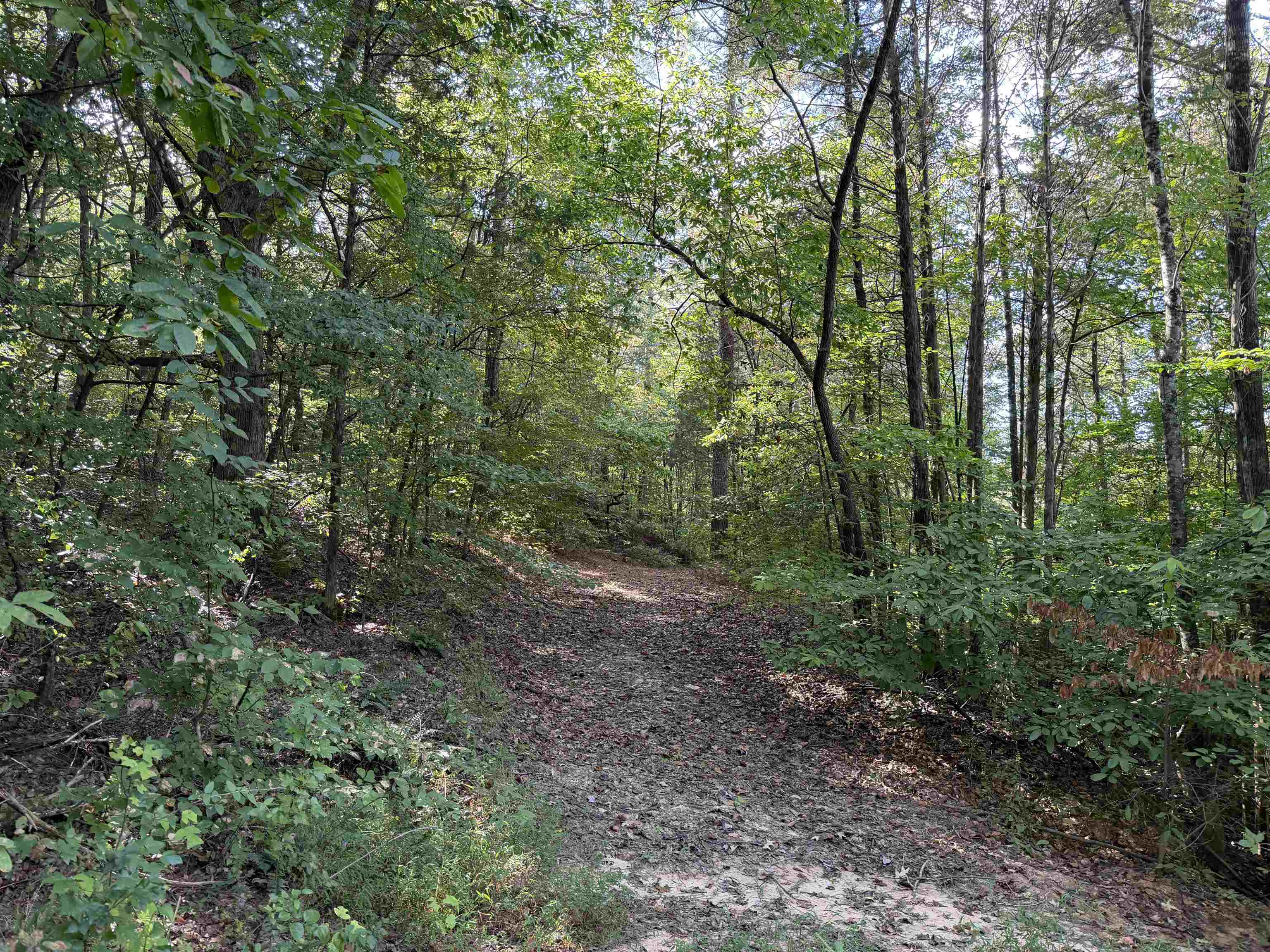 940 Old Lula Rd Property Photo 28
