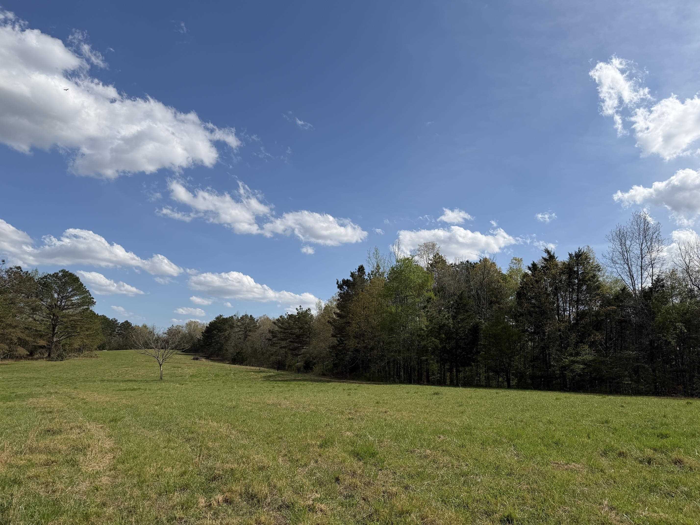 940 Old Lula Rd Property Photo 33