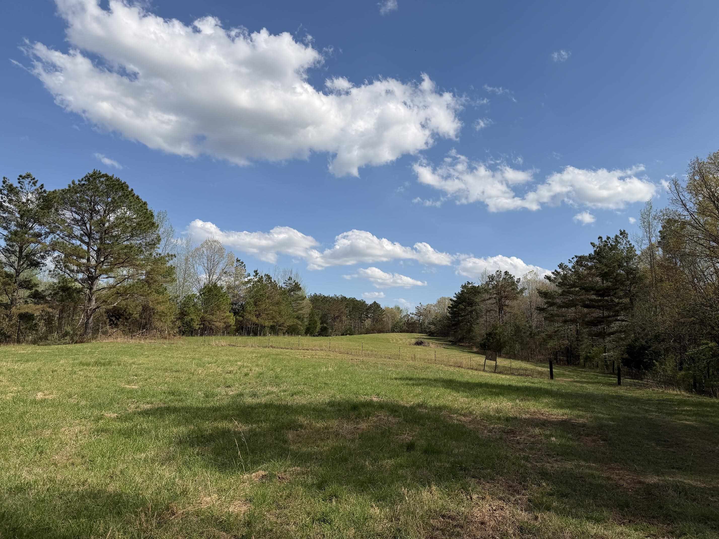 940 Old Lula Rd Property Photo 34