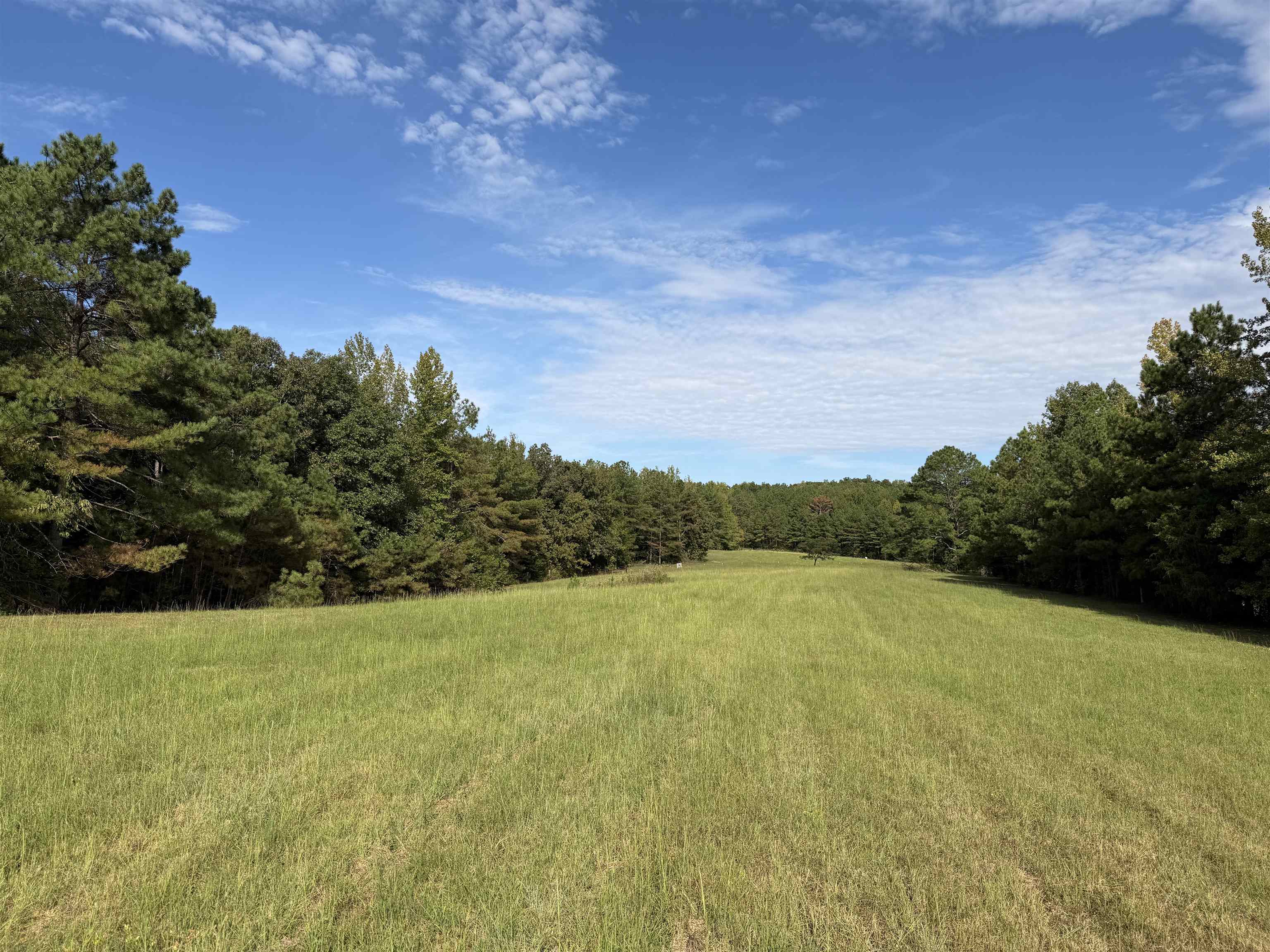 940 Old Lula Rd Property Photo 34