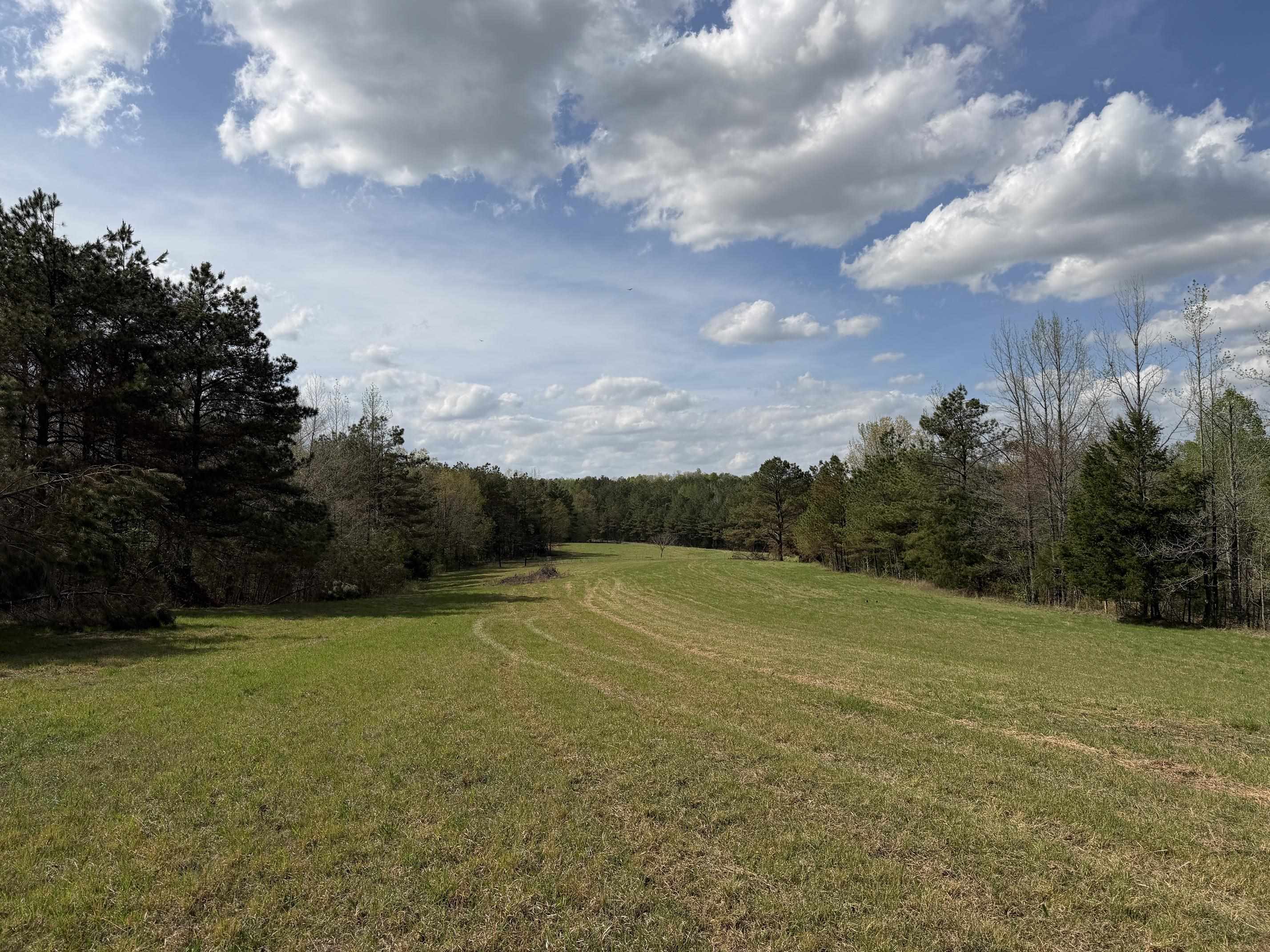 940 Old Lula Rd Property Photo 35