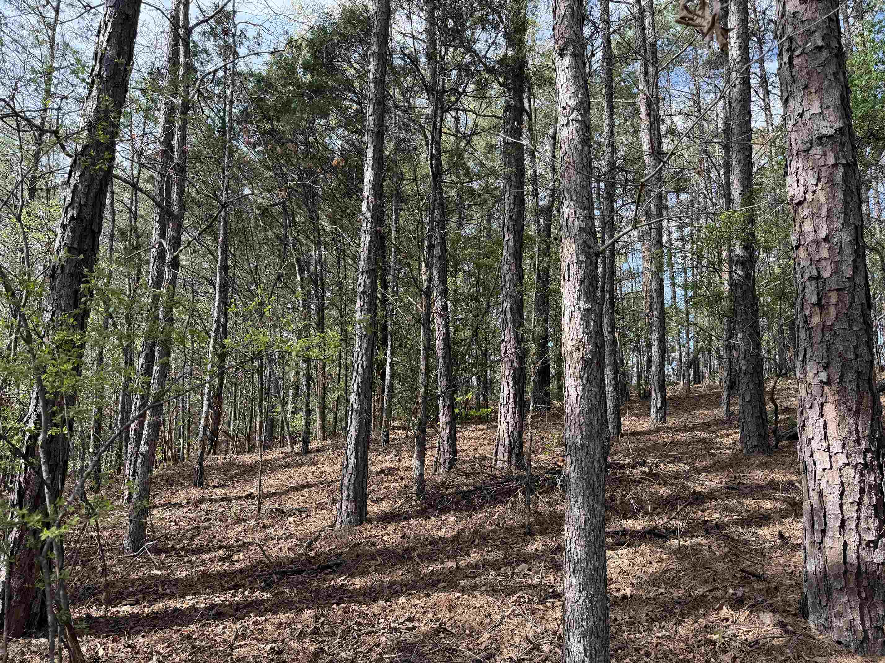 940 Old Lula Rd Property Photo 36
