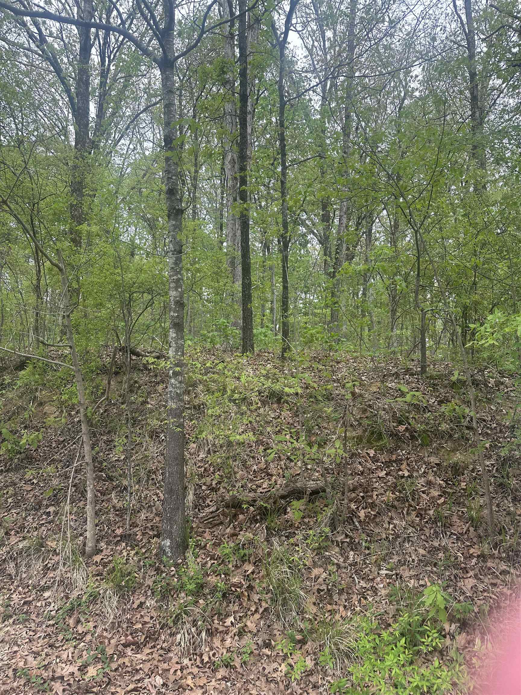 8768/8750 BOB WHITE DR Property Photo 1