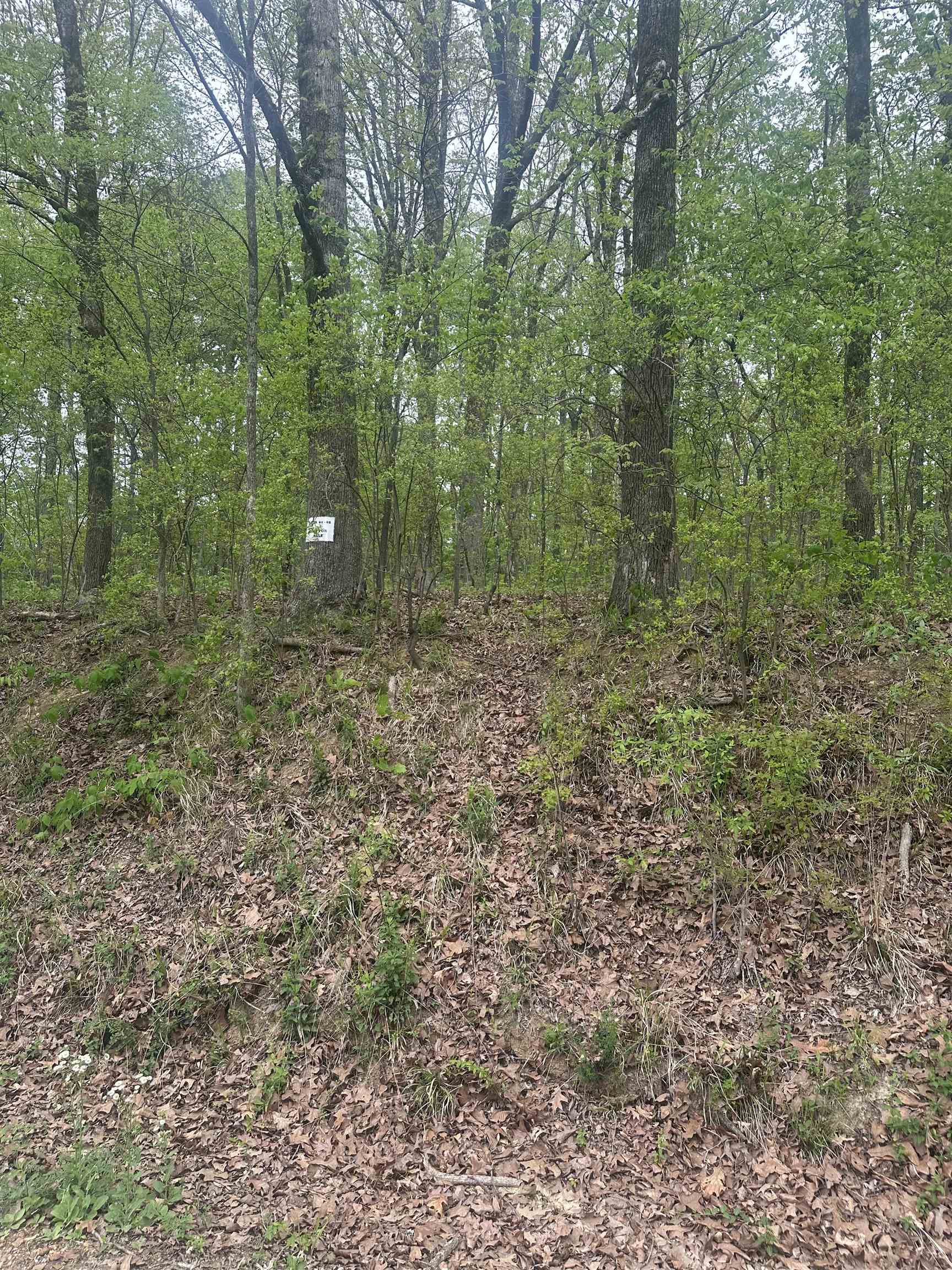 8768/8750 Bob White Dr Property Photo 2