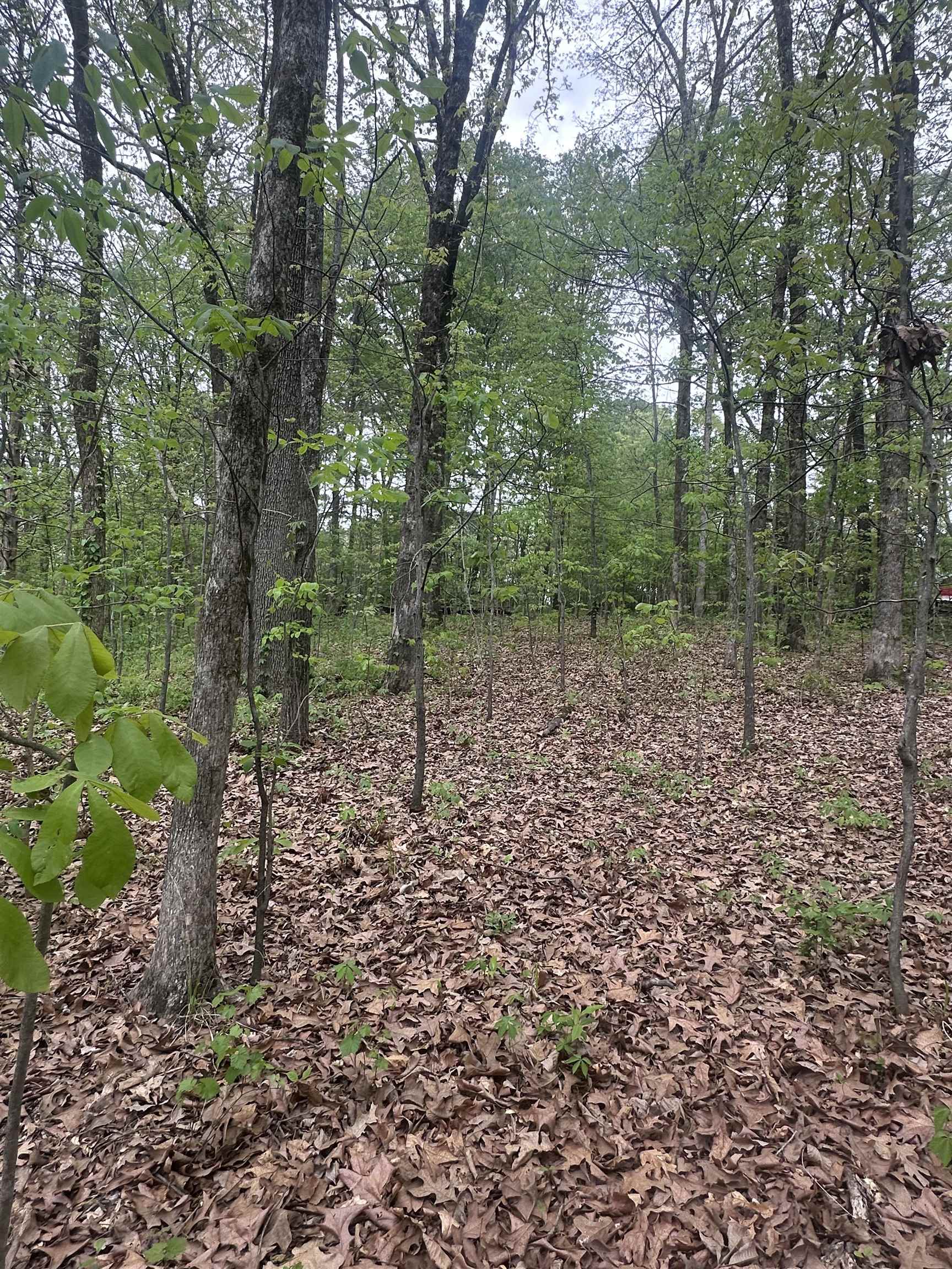 8768/8750 Bob White Dr Property Photo 4