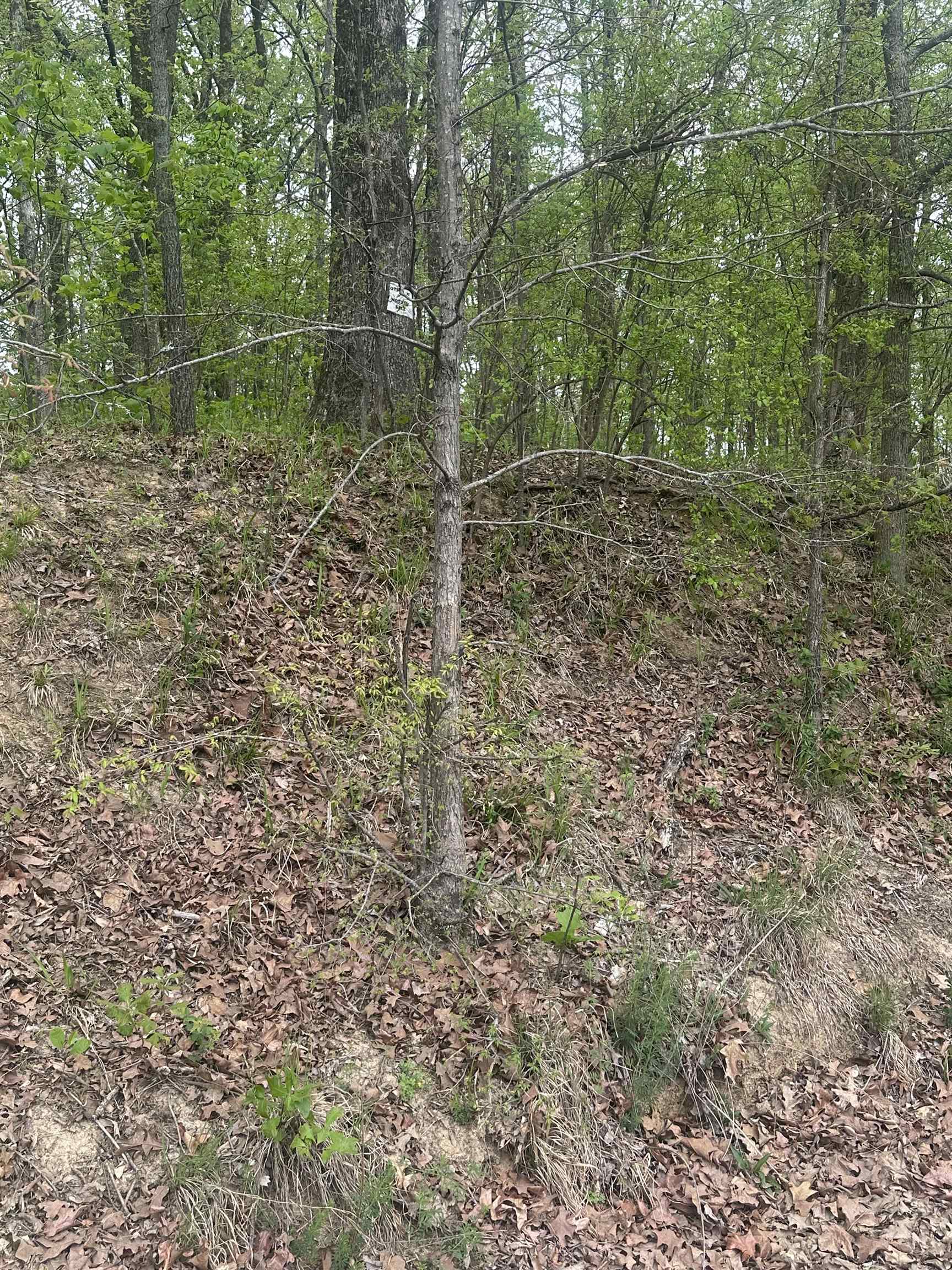 8768/8750 Bob White Dr Property Photo 9