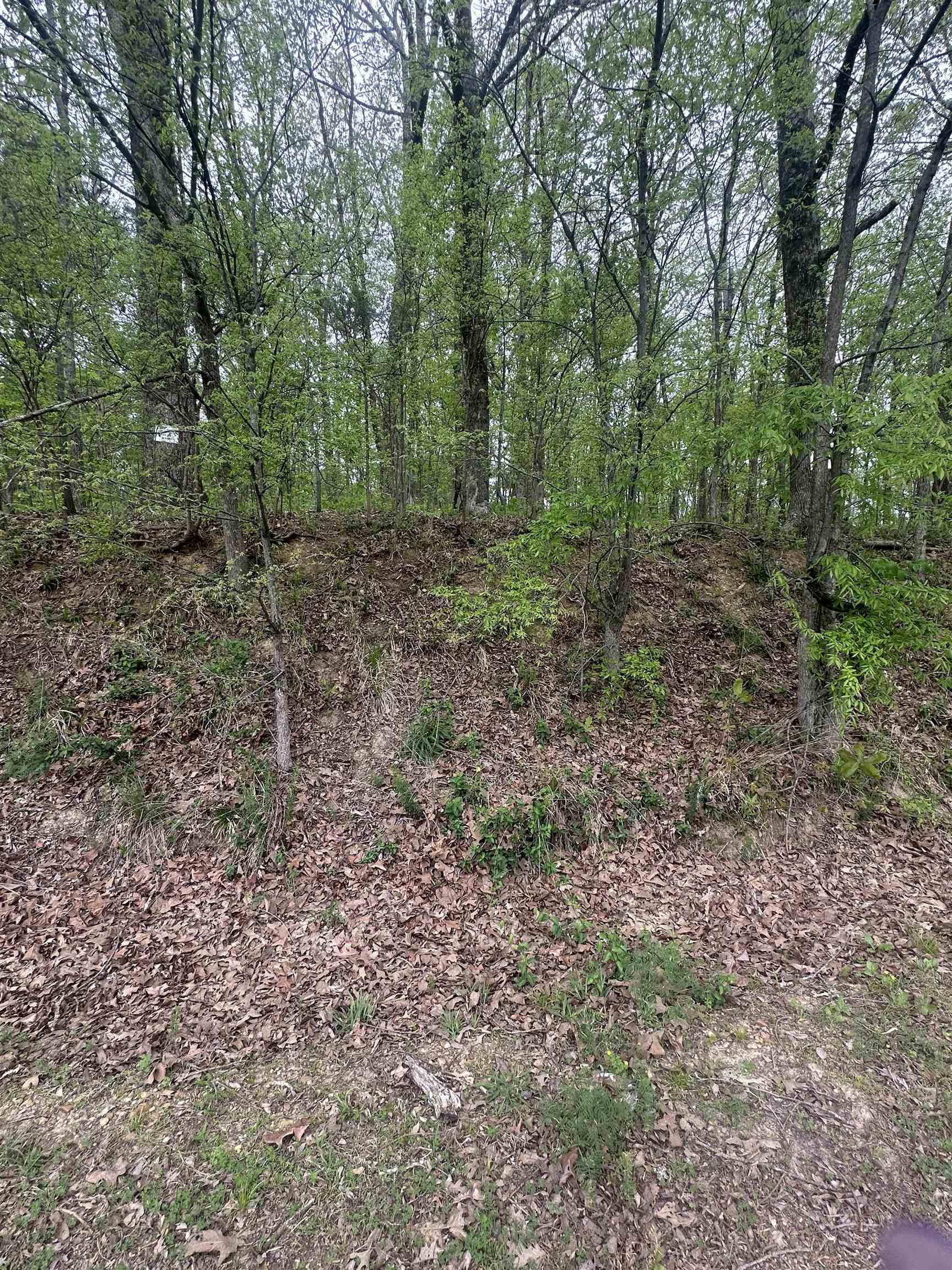 8768/8750 Bob White Dr Property Photo 10