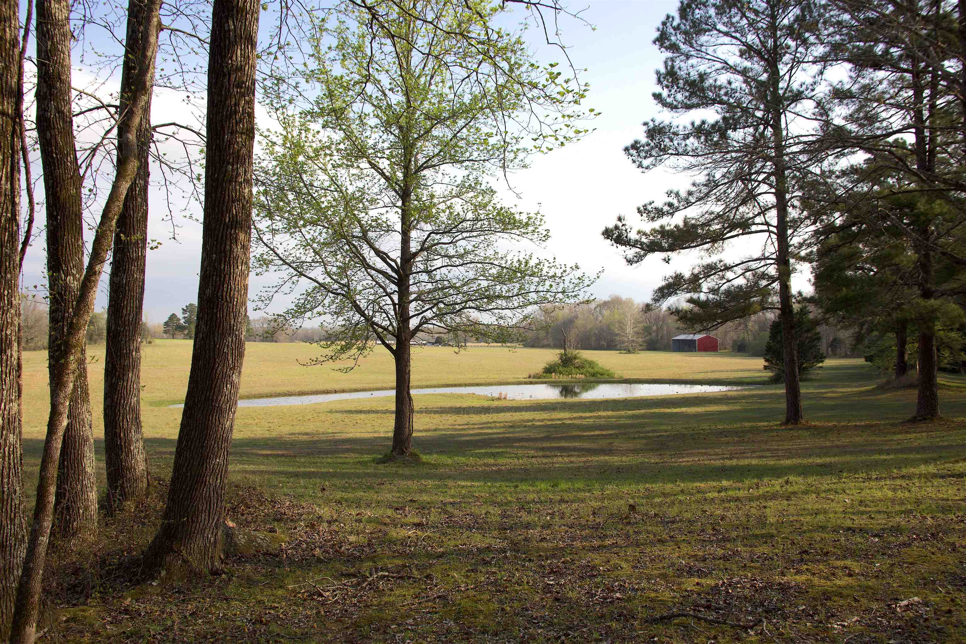 3490 Yager Rd Property Photo 4