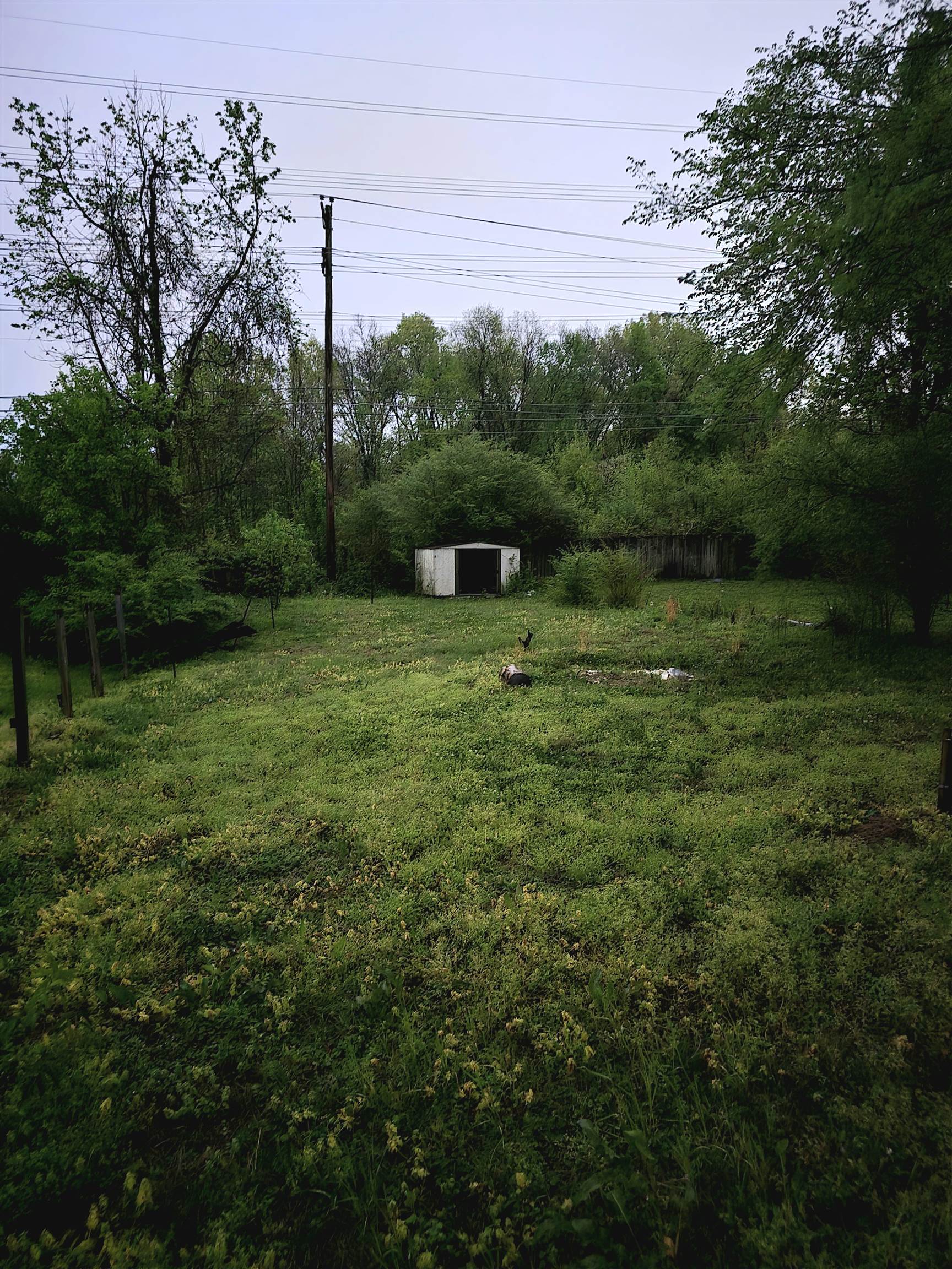 6496 Wimble Rd Property Photo 20
