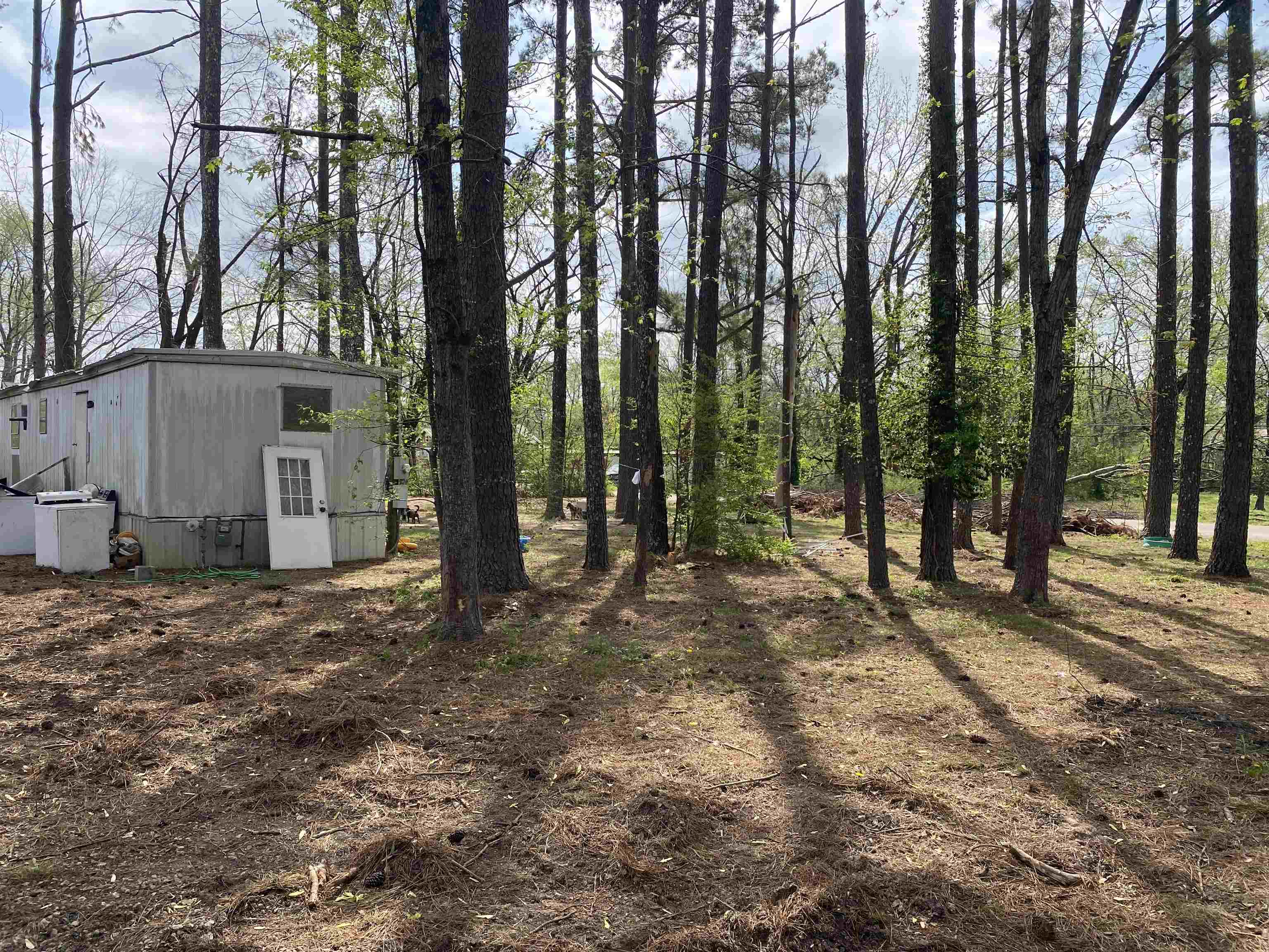 120 Cochran St Property Photo 6