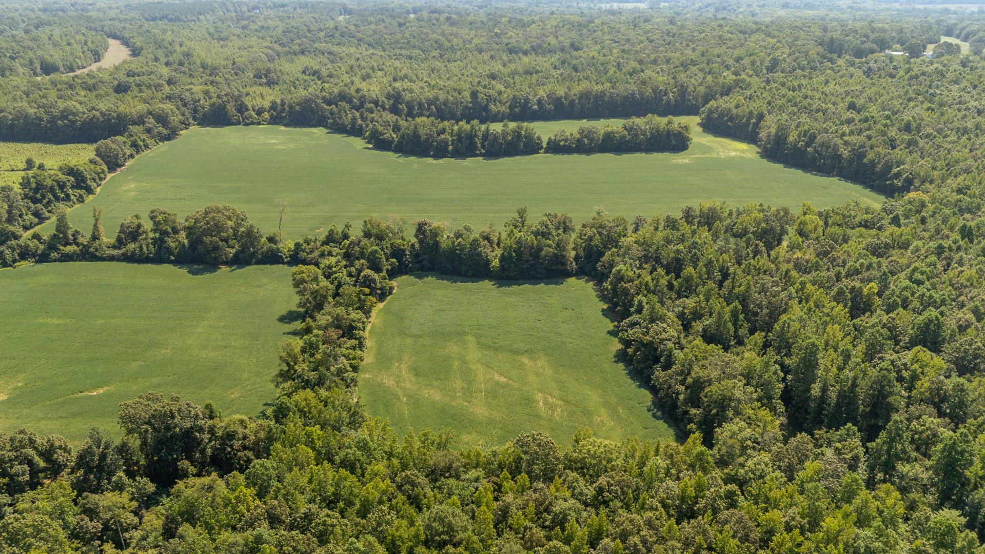 2395 Pocahontas Rd Property Photo 3