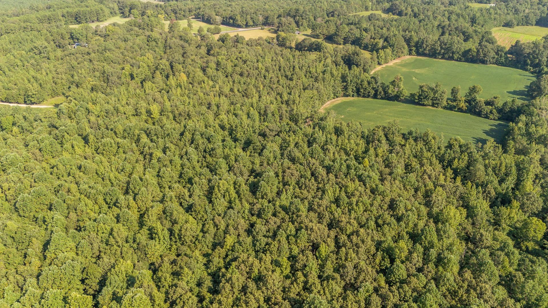 2395 Pocahontas Rd Property Photo 25