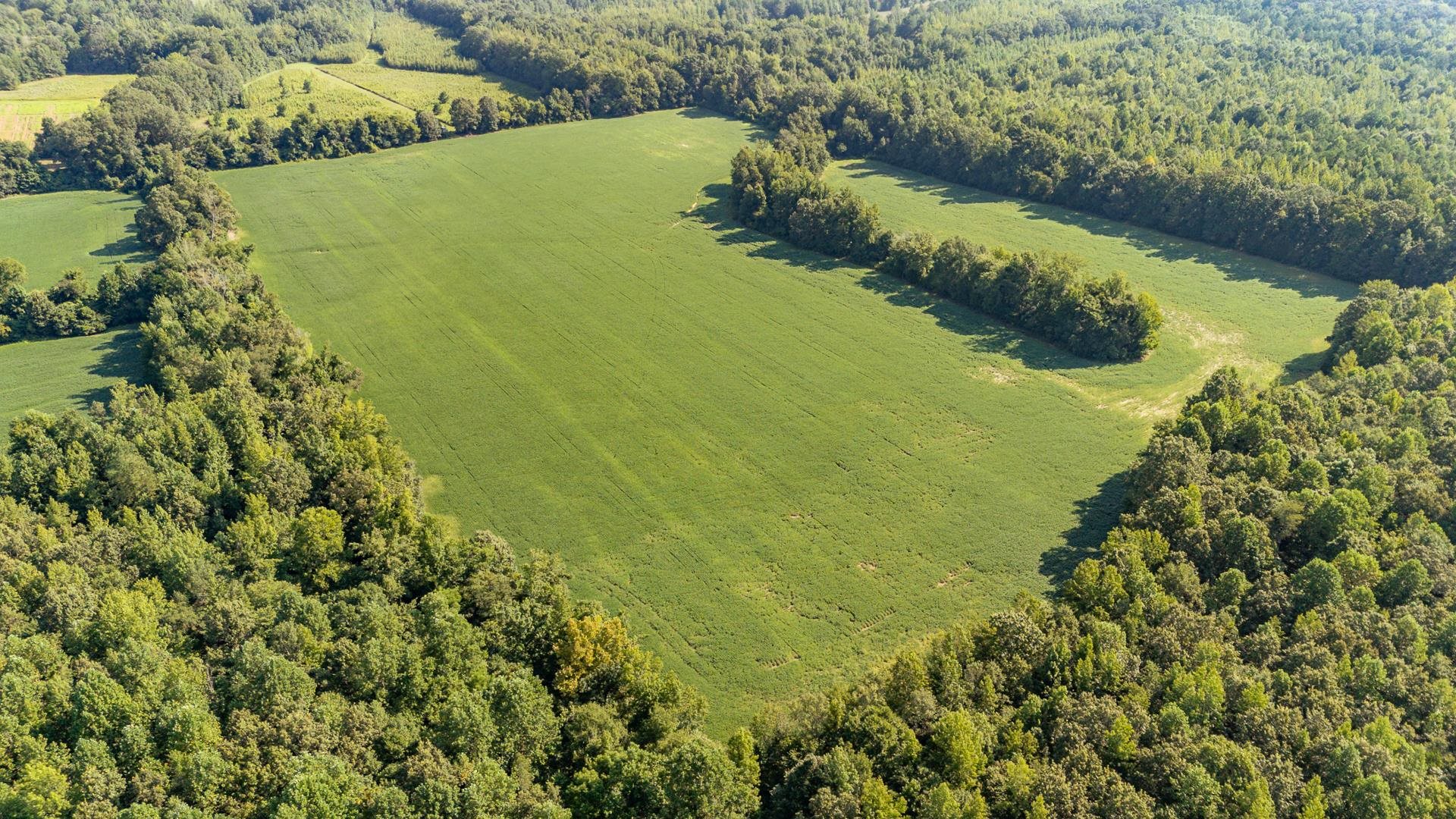 2395 Pocahontas Rd Property Photo 26