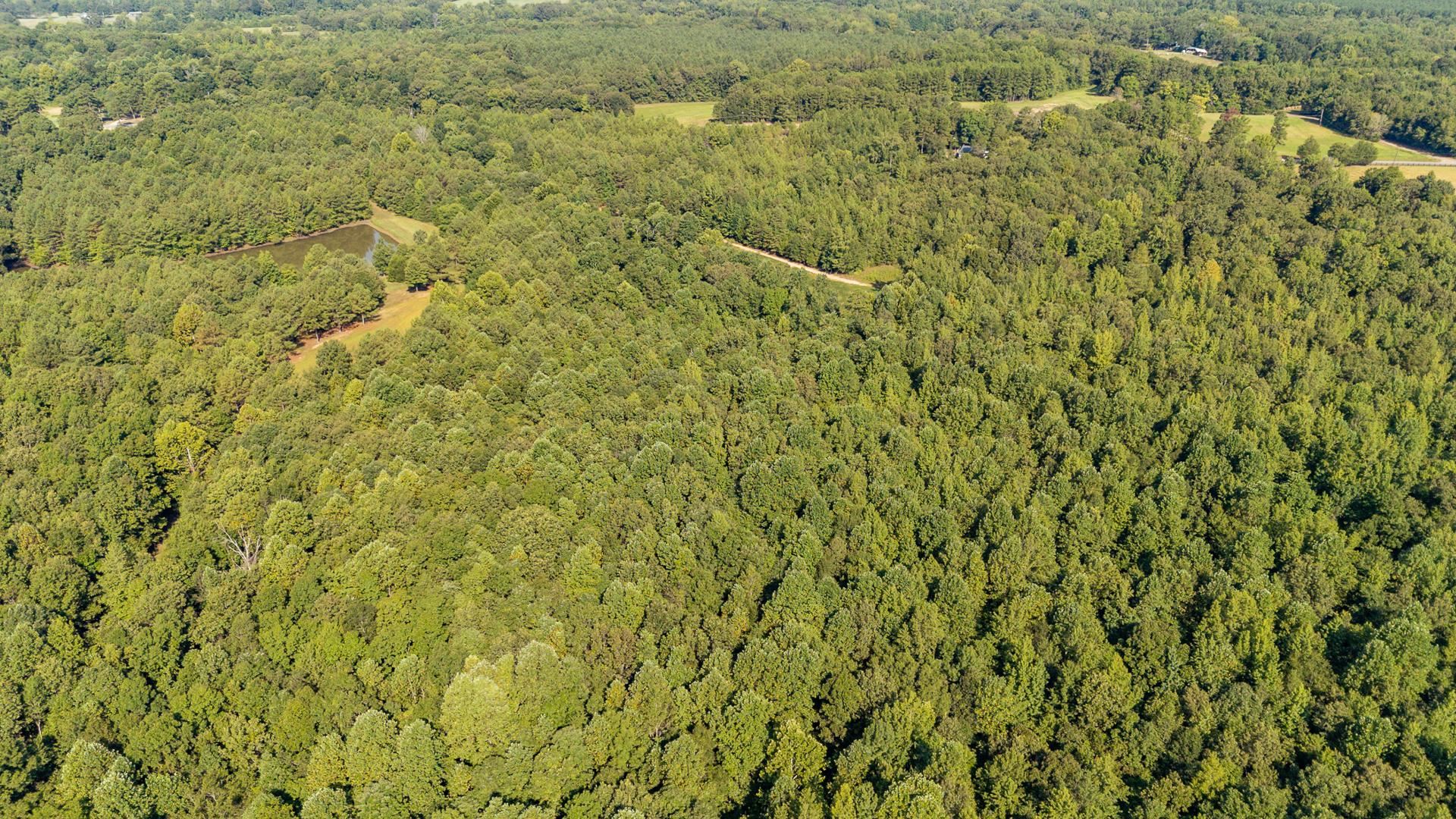 2395 Pocahontas Rd Property Photo 28