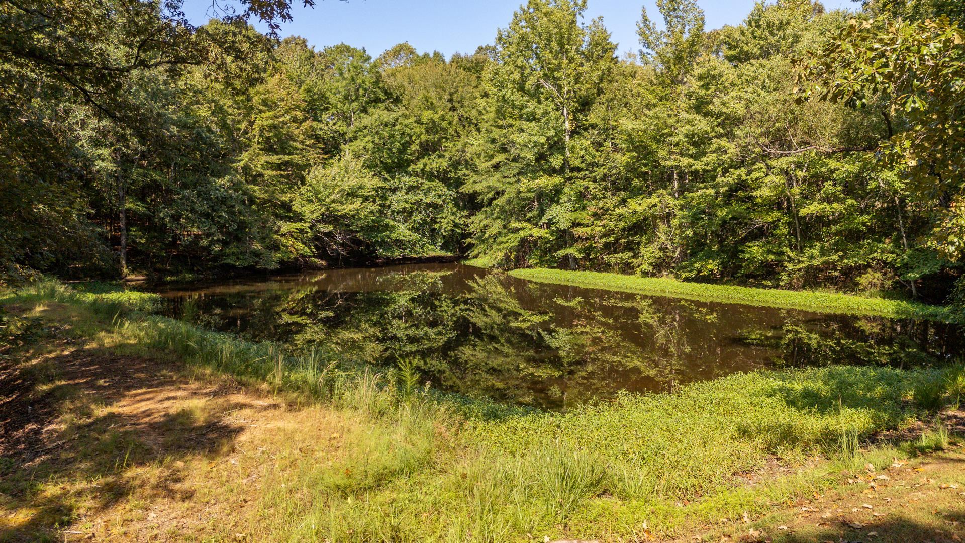 2395 Pocahontas Rd Property Photo 35