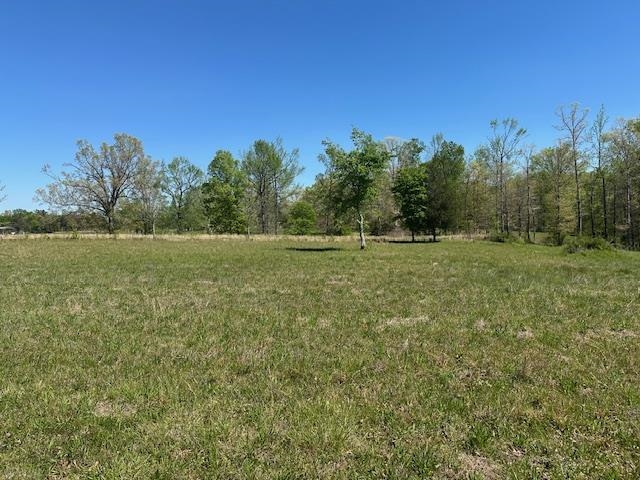 00 Pear Blossom Ln Property Photo 3