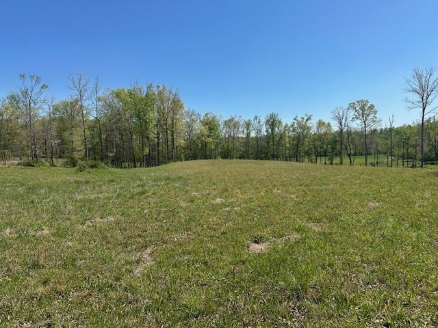 00 Pear Blossom Ln Property Photo 4