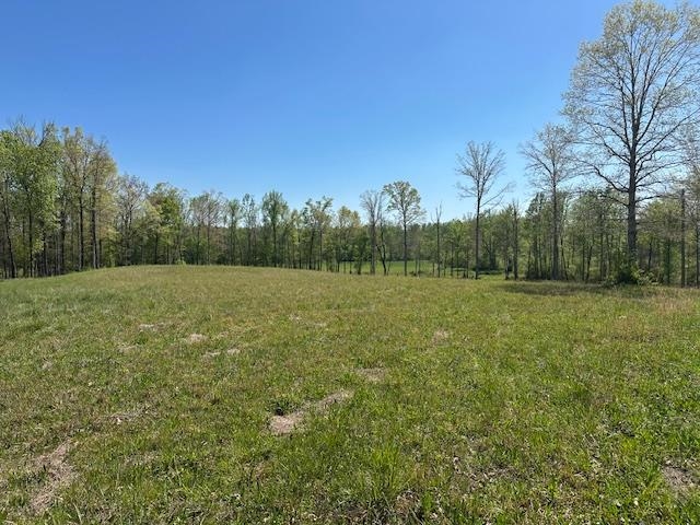 00 Pear Blossom Ln Property Photo 5
