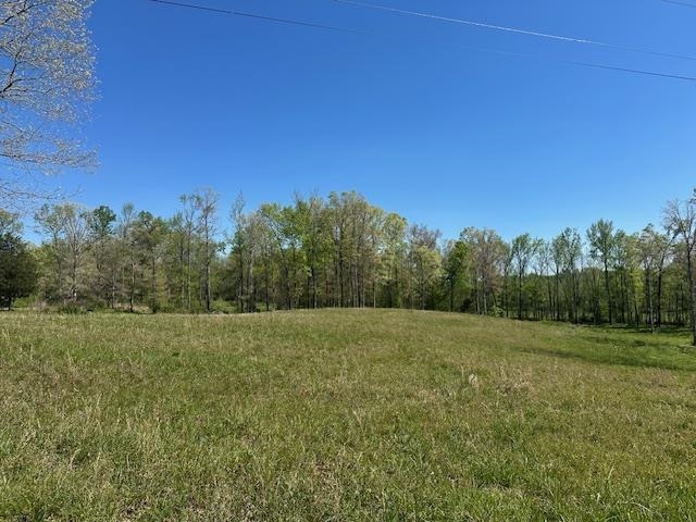 00 Pear Blossom Ln Property Photo 6