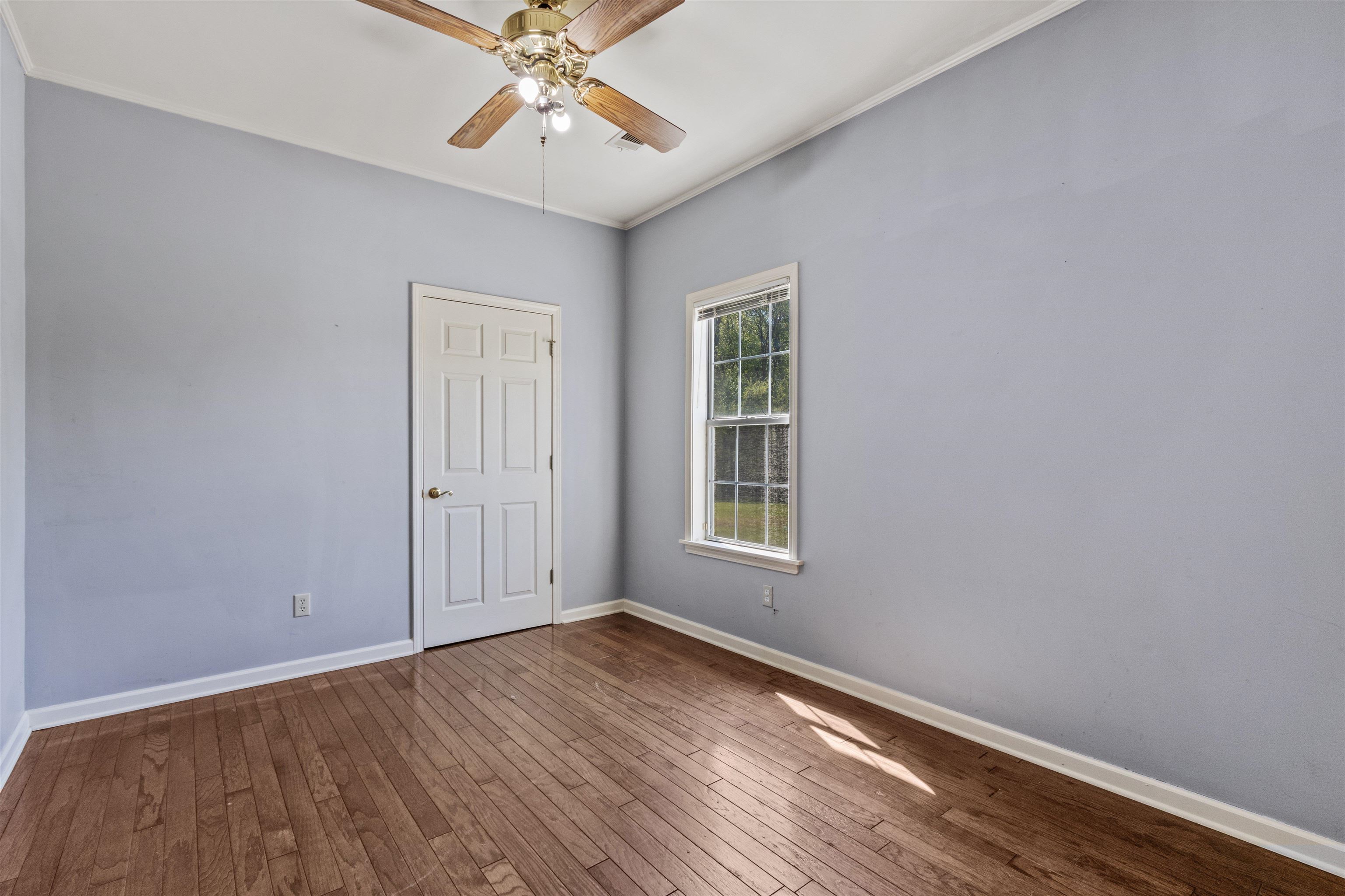 263 Morris Rd Property Photo 14
