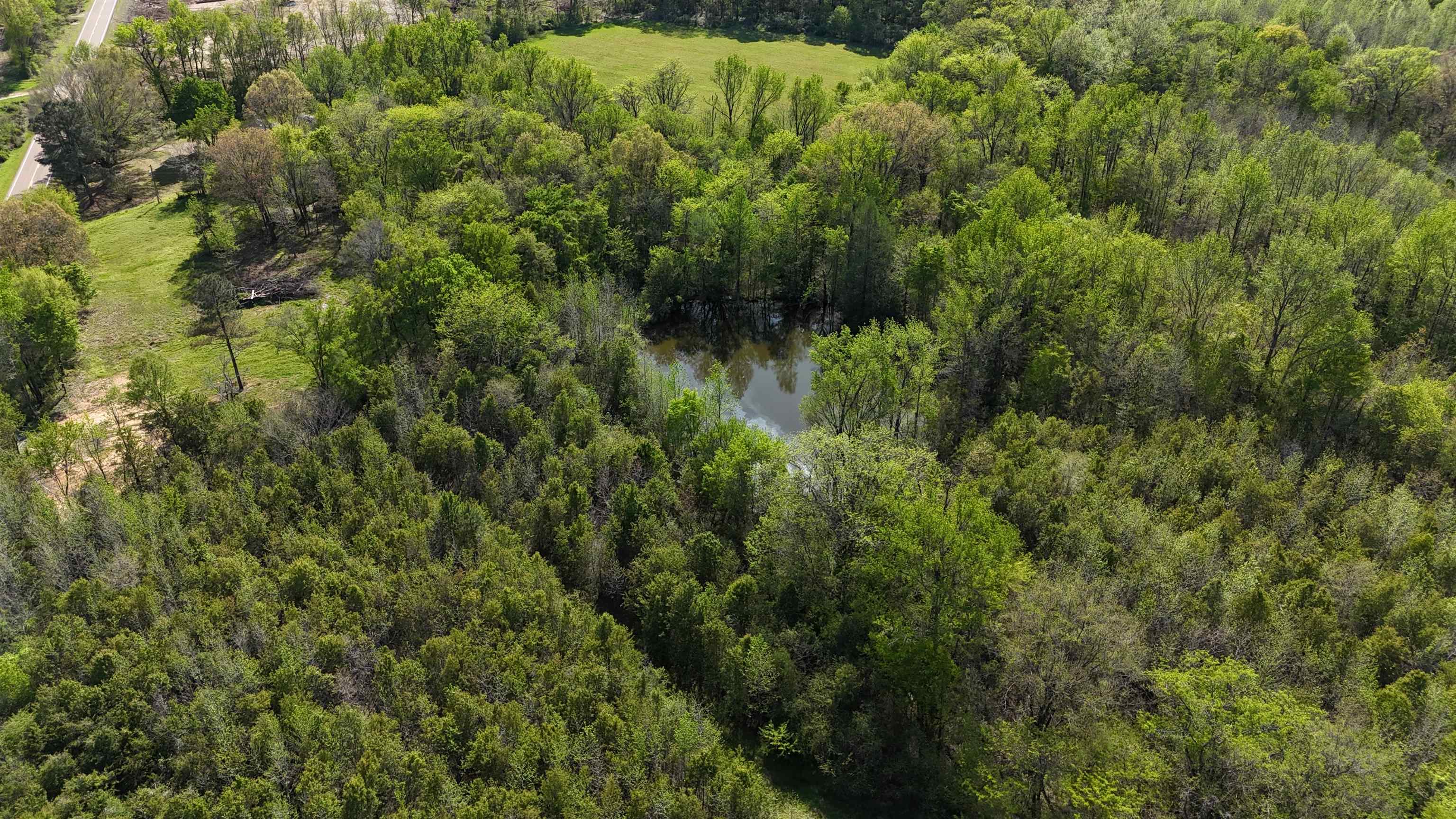 16055 Hwy 76 Hwy Property Photo 4
