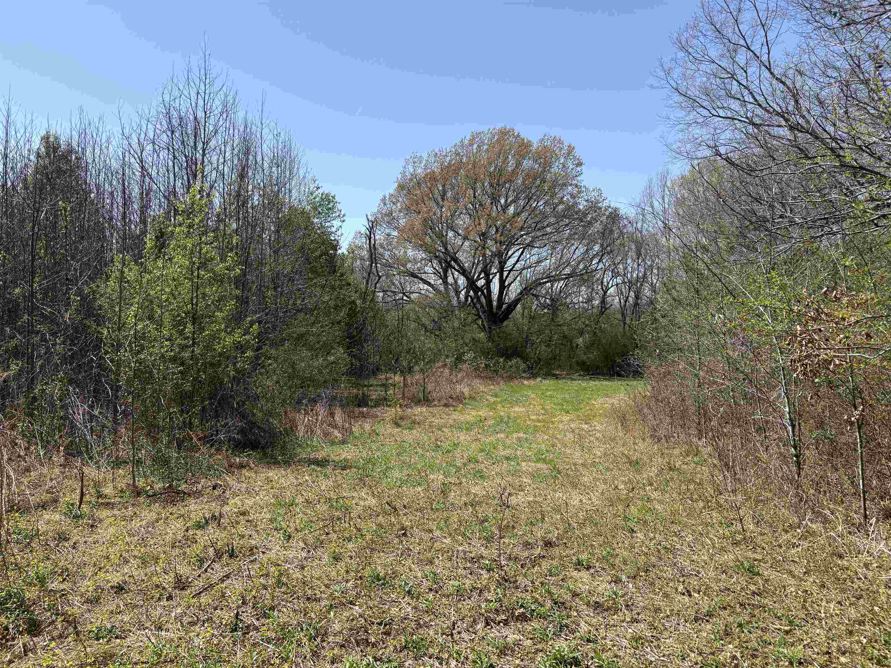 16055 Hwy 76 Hwy Property Photo 5